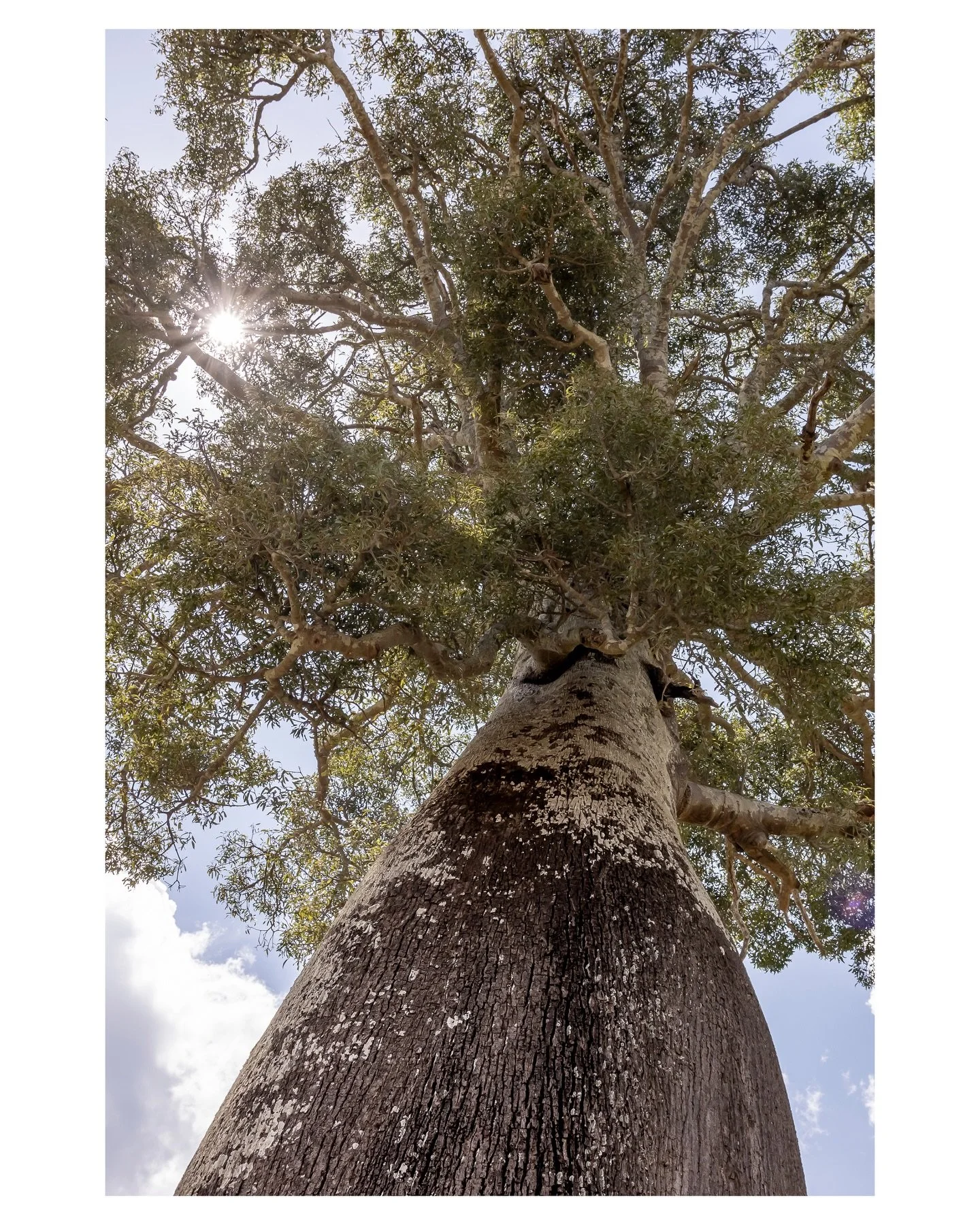 &rdquo;The more I study happiness, the more I realise it comes down to one thing: living in alignment with what truly matters to you. Not success. Not stuff. Just a life that feels like yours, where you wake up glad it&rsquo;s your day, where you&rsq