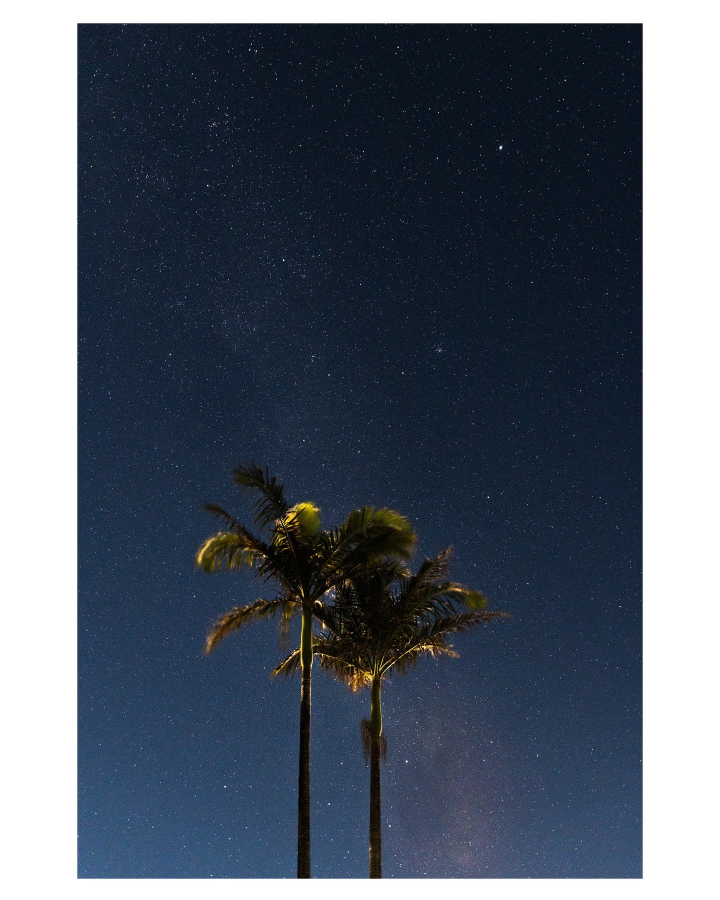 &ldquo;You shouldn&rsquo;t have been born. Your existence is as close to impossible as can be. To dismiss the impossible is to dismiss yourself.&rdquo;

― Matt Haig, The Humans

#starrysky #darksky #palmtreesatnight #tropics
