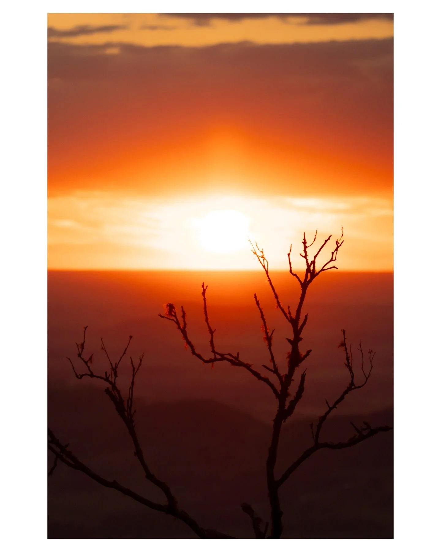 &rdquo;The world is so over generous it gave us colors. COLORS. It could&rsquo;ve been grayscale forever, but no. It went wild with turquoise, lavender, and gold sunsets.&rdquo;

- @thetinyjoyproject

Got to witness this absolutely marvelous sunset i