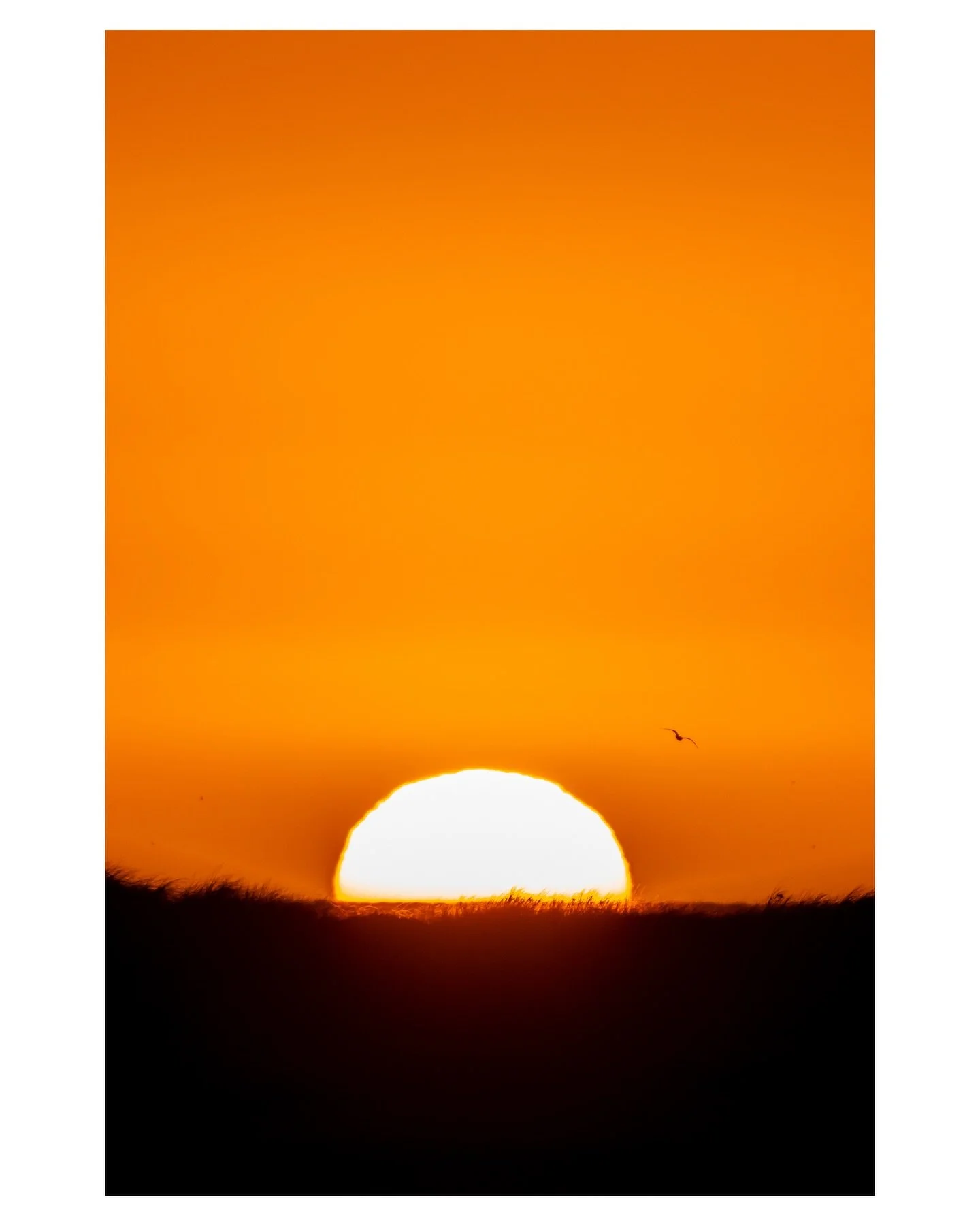 &ldquo;The earth, from here, is like heaven. It flows with colour. A burst of hopeful colour. When we&rsquo;re on that planet we look up and think heaven is elsewhere, but here is what the astronauts and cosmonauts sometimes think: maybe all of us bo