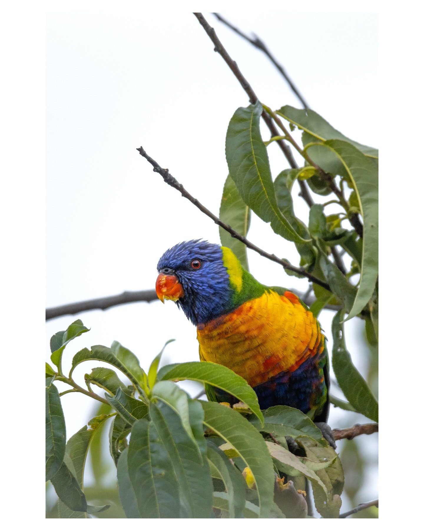 &rdquo;I don&rsquo;t think we&rsquo;re meant to understand everything.
I think we&rsquo;re meant to be amazed by some of it.
Confused by some of it.
Moved by some of it.
To walk around with a soft &rdquo;Now&rsquo;&rdquo; in our chest. And call that 