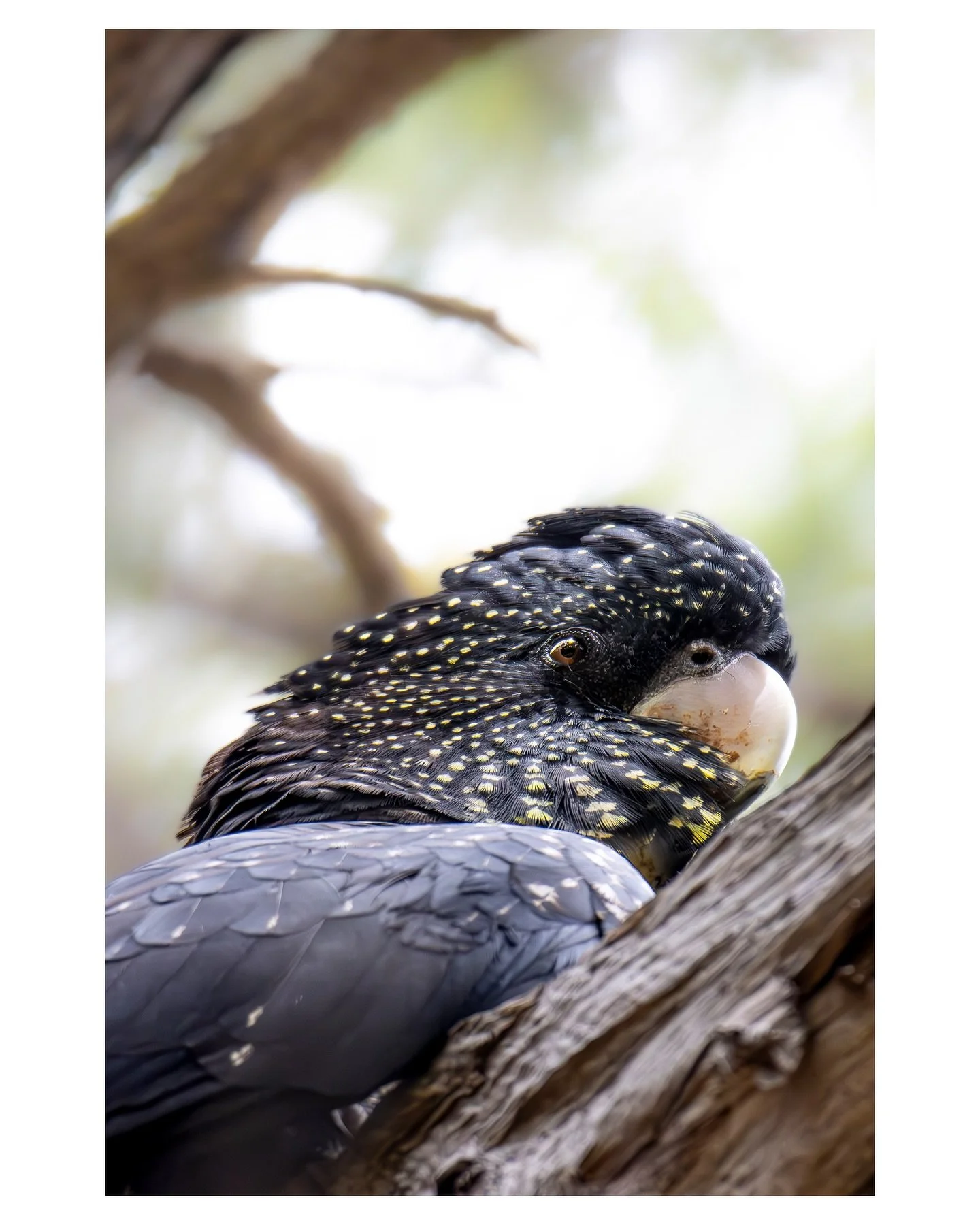 &rdquo;The digital world is where we now live.
The physical world is just where we go to harvest content for the digital one.
We are becoming ghosts in our own lives.&rdquo;

- Bo Burnham

With that shot I wanted to showcase the overwhelming beauty n