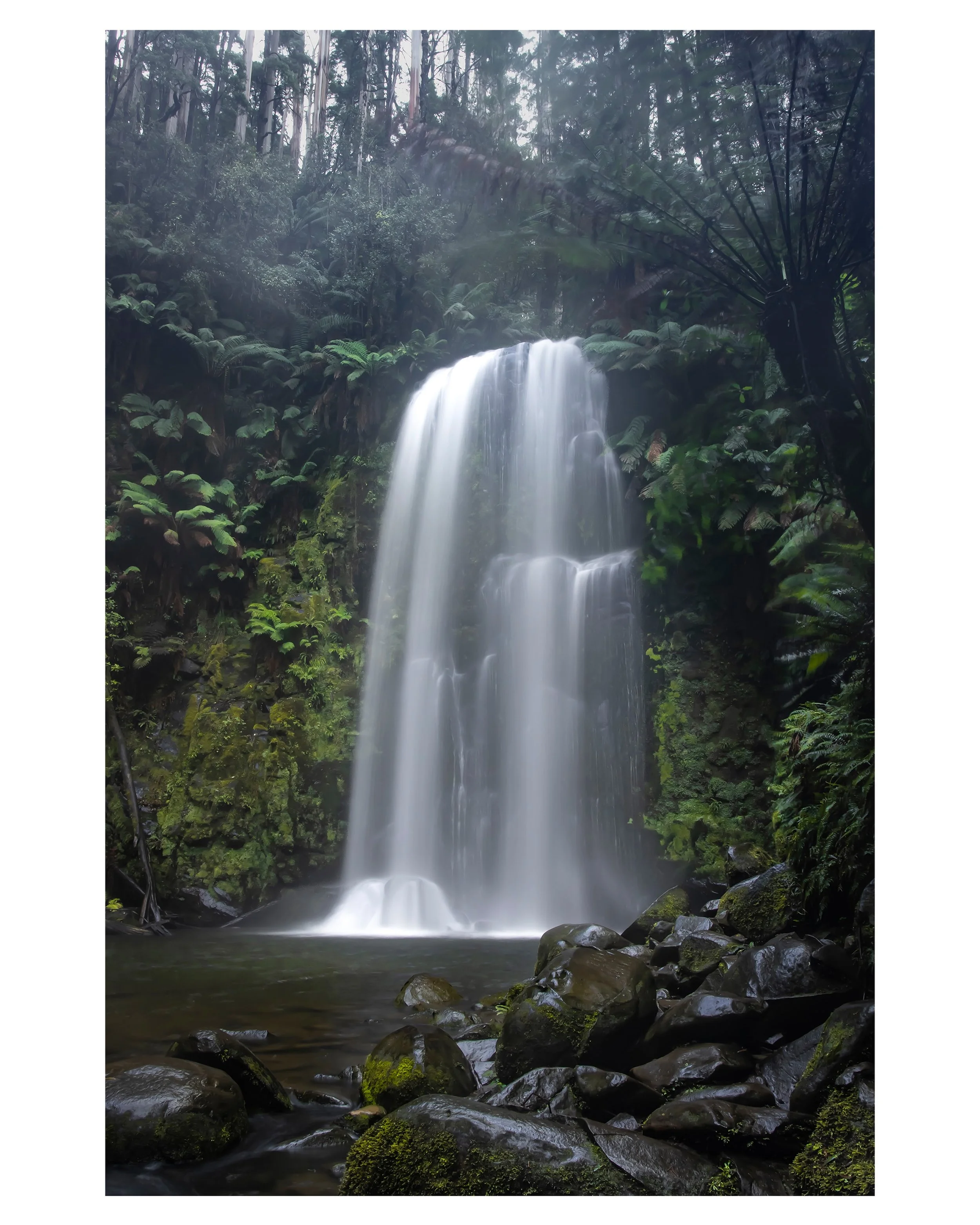 &ldquo;Water never complains, but always pushes back. Always.
Drop a boulder in front of a stream and the water will simply flow around it, taking whatever opening the landscape will give or-when nothing is offered-patiently building up its resources