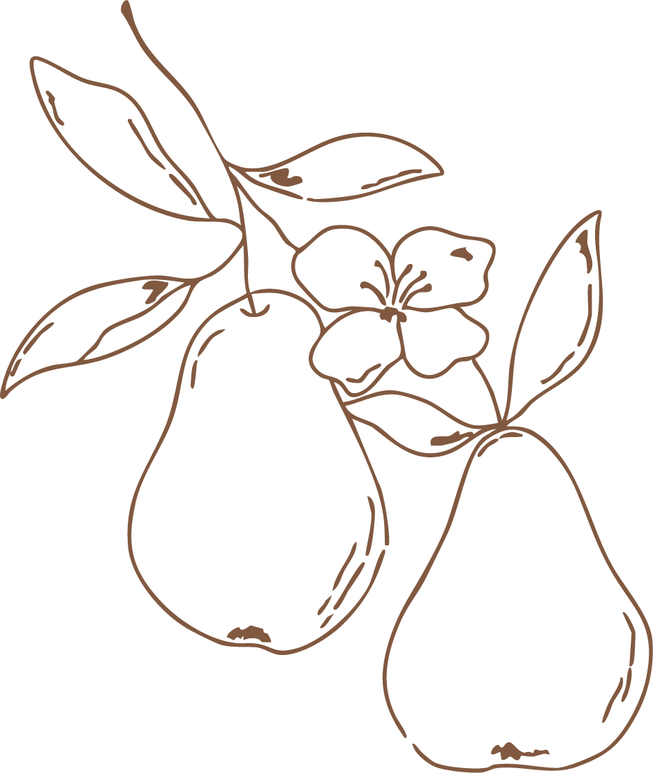 Line drawing of a pear, a lemon, and a flowering branch with leaves.