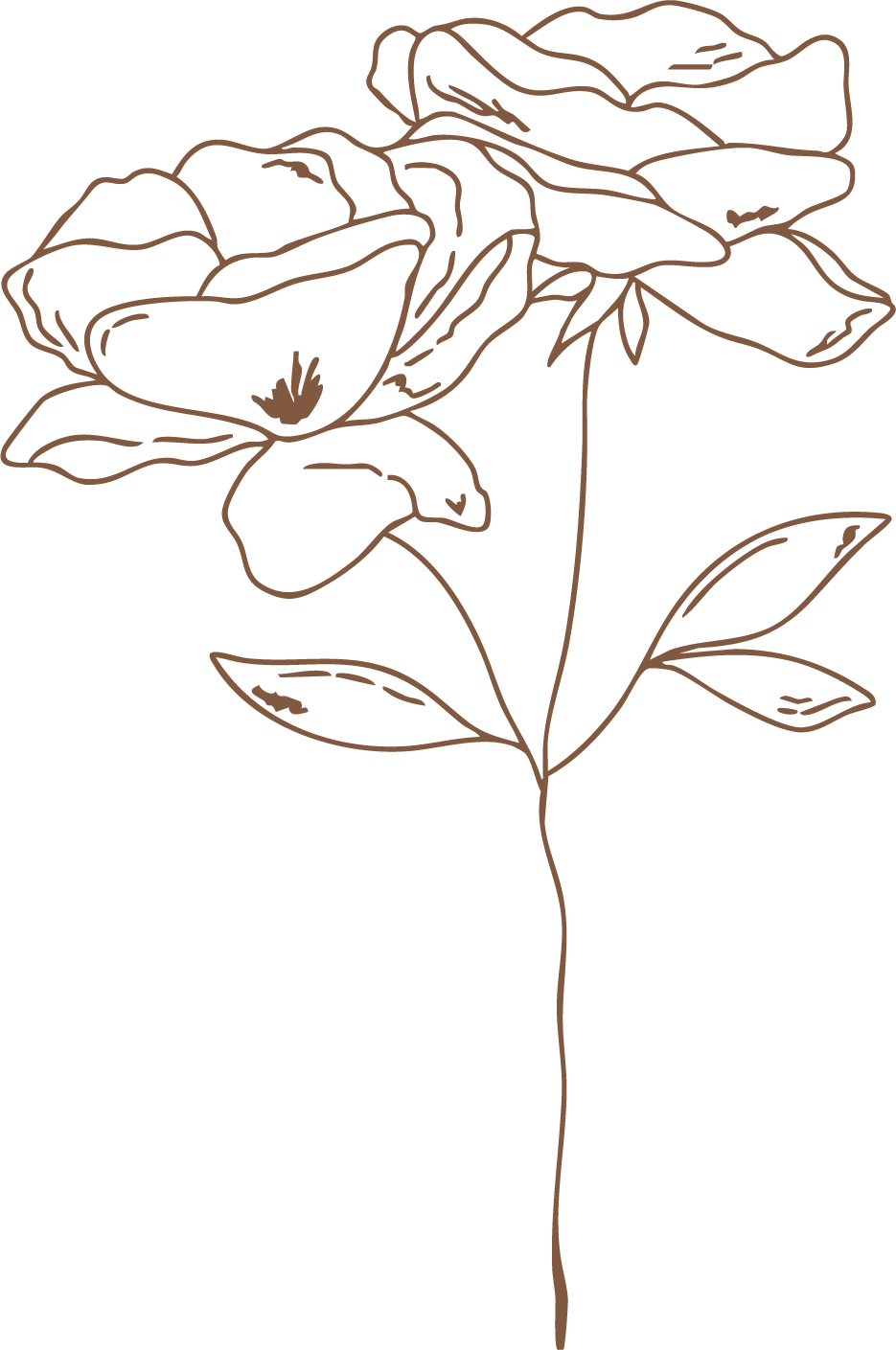 Line drawing of a blooming rose with leaves and stem.
