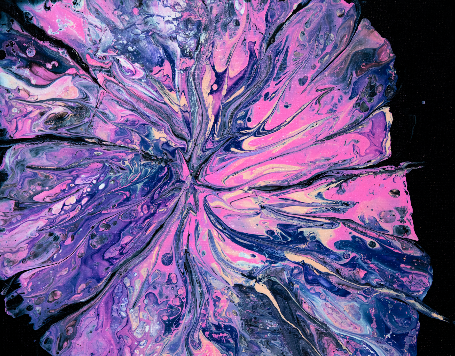 Funky Florals - Lavender Blush_low.png