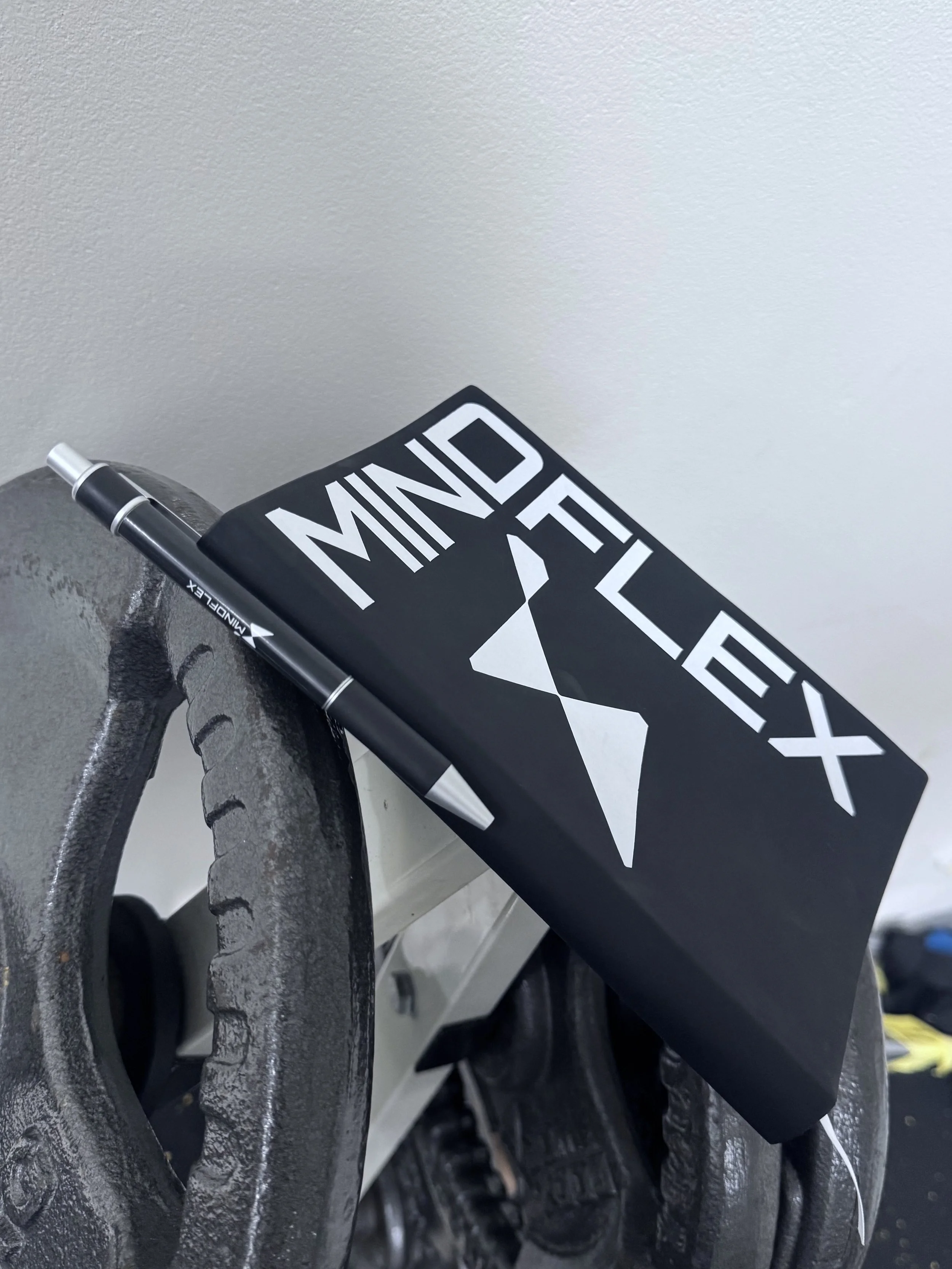 MINDFLEX, The Movement