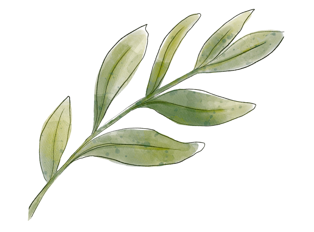 watercolour branch with seven leaves