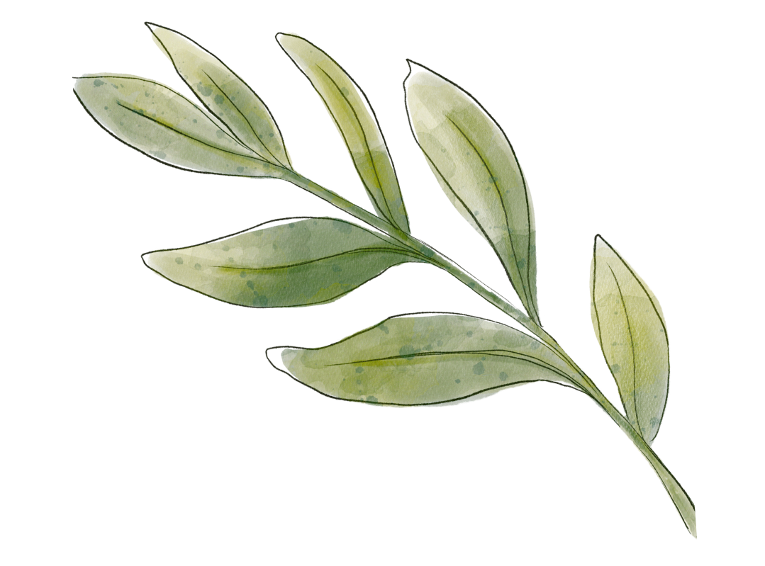 watercolour branch with seven leaves