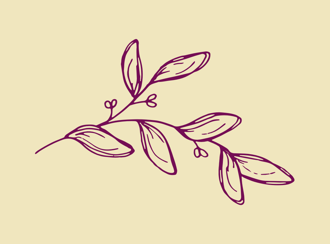 illustration of a leafy branch