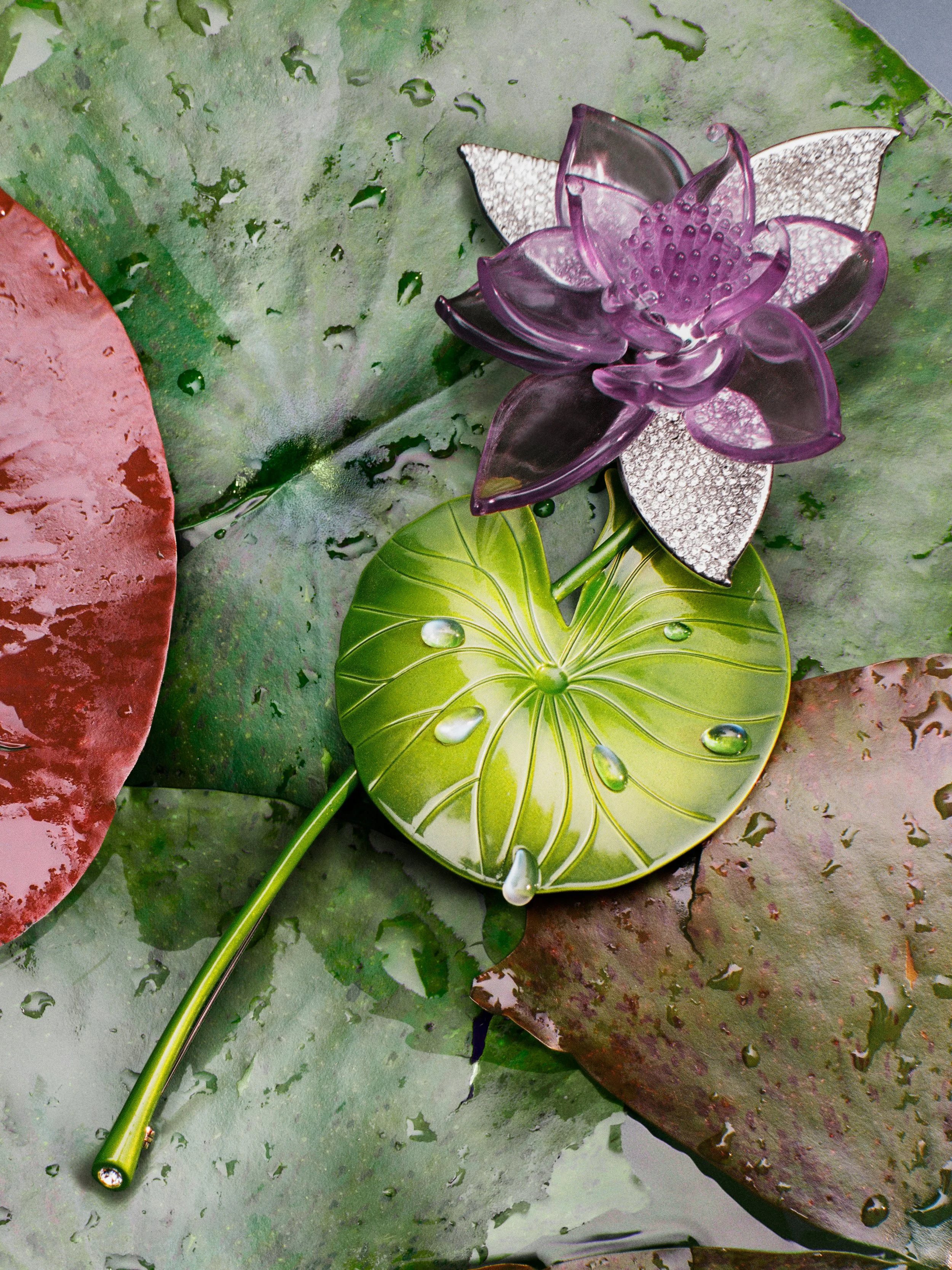 000004010014_CROP 3x4.jpg