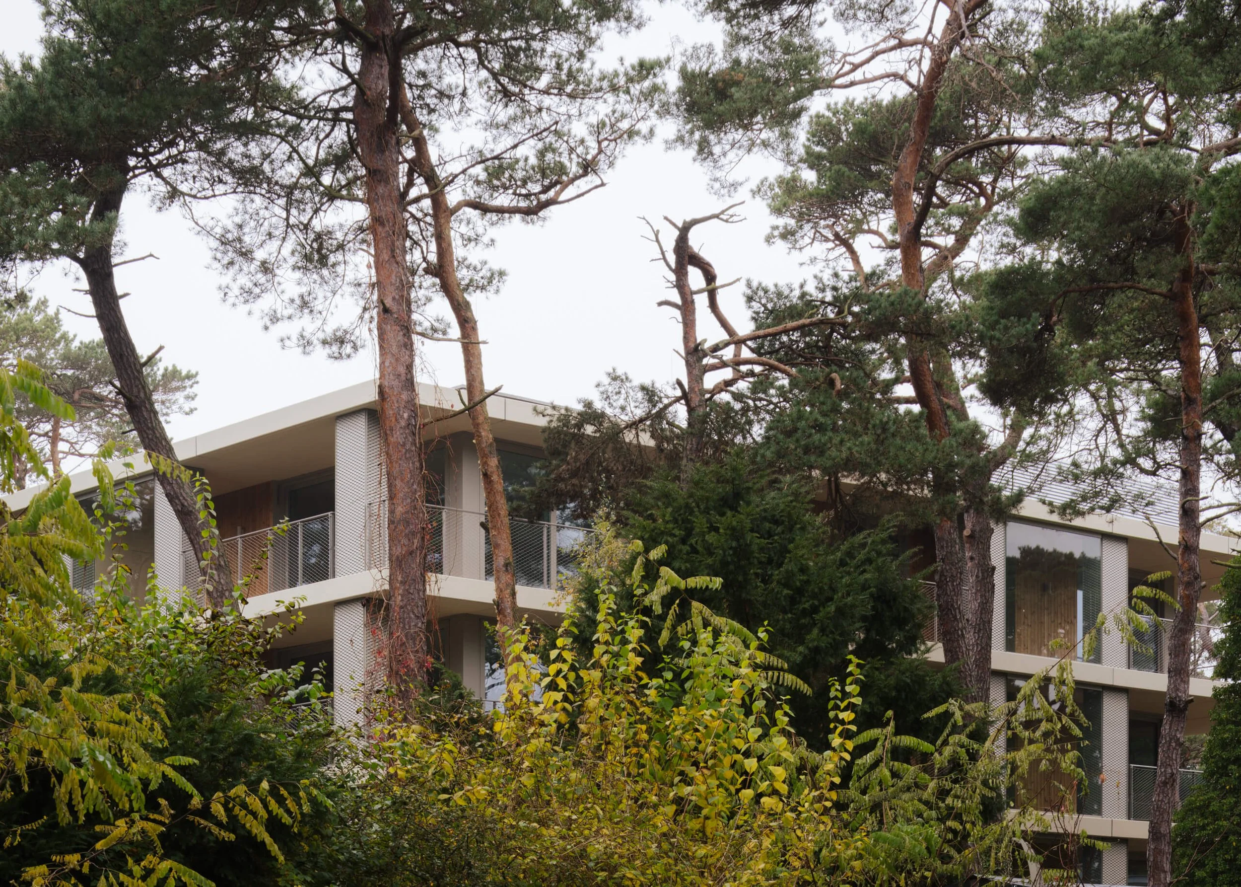 Nate Cook_Willa Jurata_9-low res web.jpg