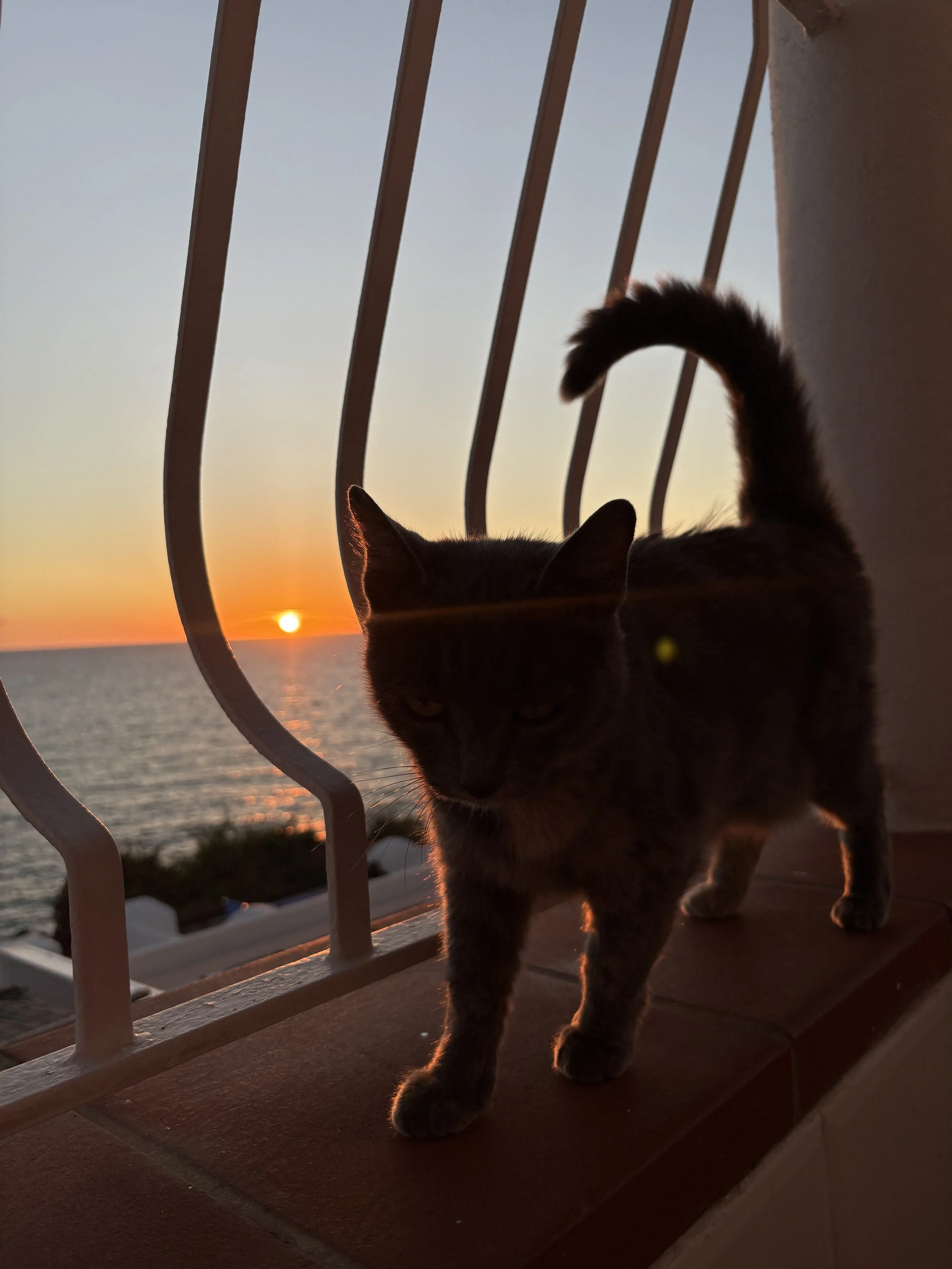 IMG_3807.jpeg