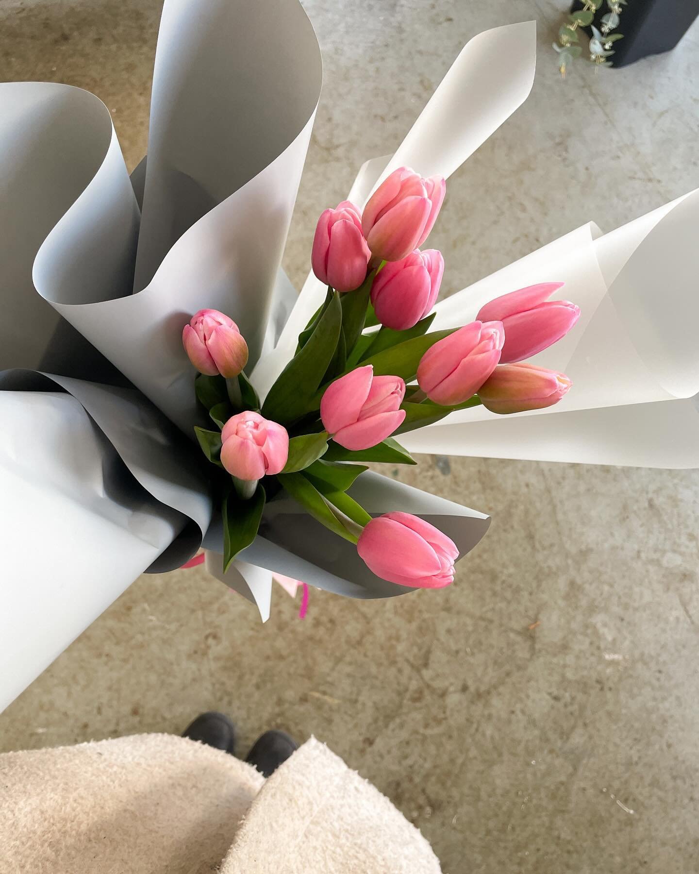 Only a handful of En Masse for Mum tulips left, they&rsquo;ve absolutely popped off!

L-R: En Masse for Mum Tulips, Signature Bouquet Mother&rsquo;s Day Edition Small, En Masse for Mum Chrysanthemums.

🫶🫶🫶