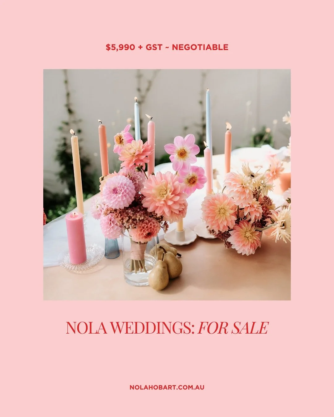 NOLA /// FOR SALE

She&rsquo;s thriving and ready to do bigger and better things, the only thing is that I don&rsquo;t have the capacity to take her where she needs to go.

I&rsquo;m putting the feelers out to anyone who would be interested in taking
