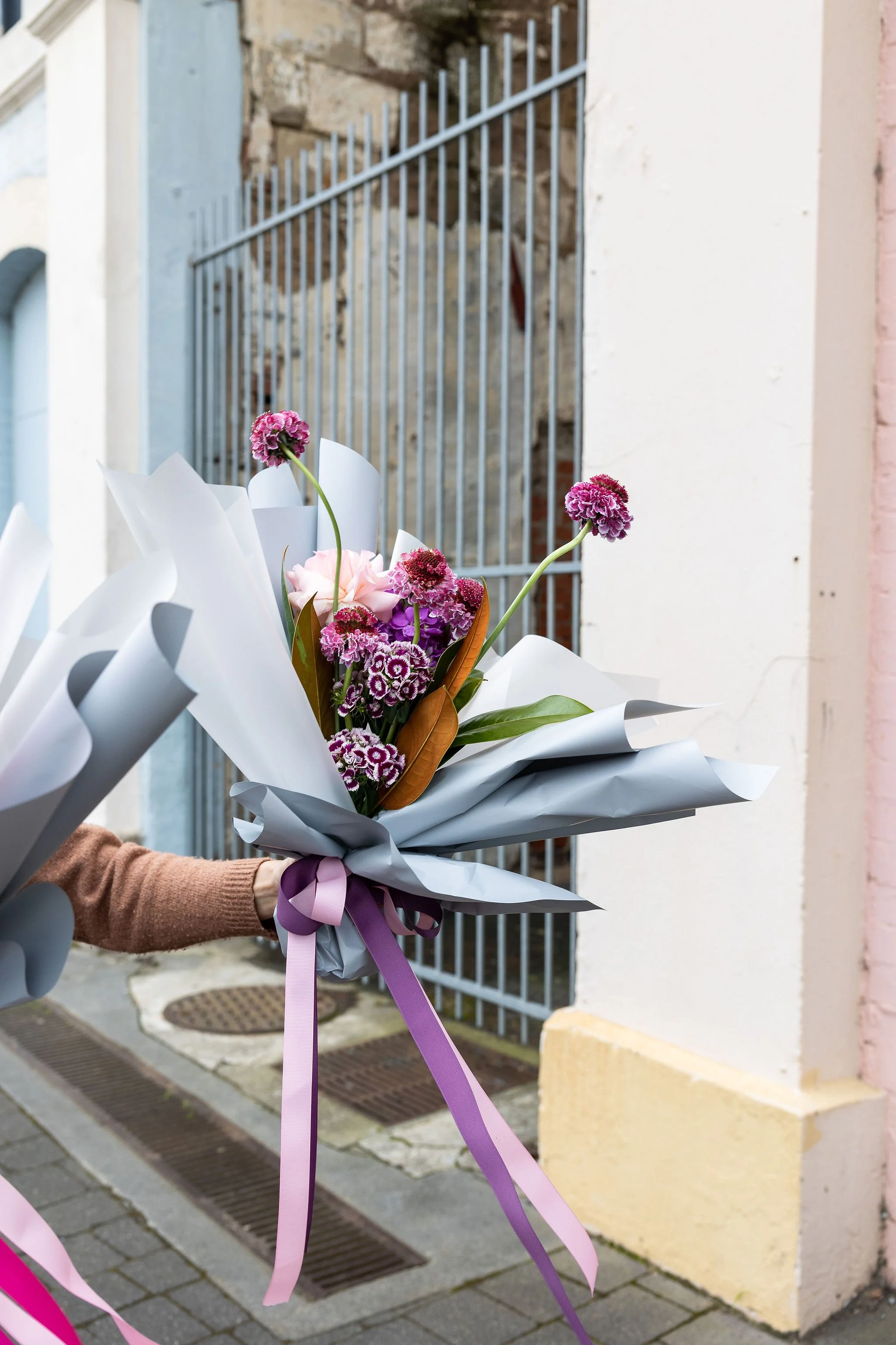 Hobart Flower Delivery Bold Flowers — Nola Hobart Flower Delivery