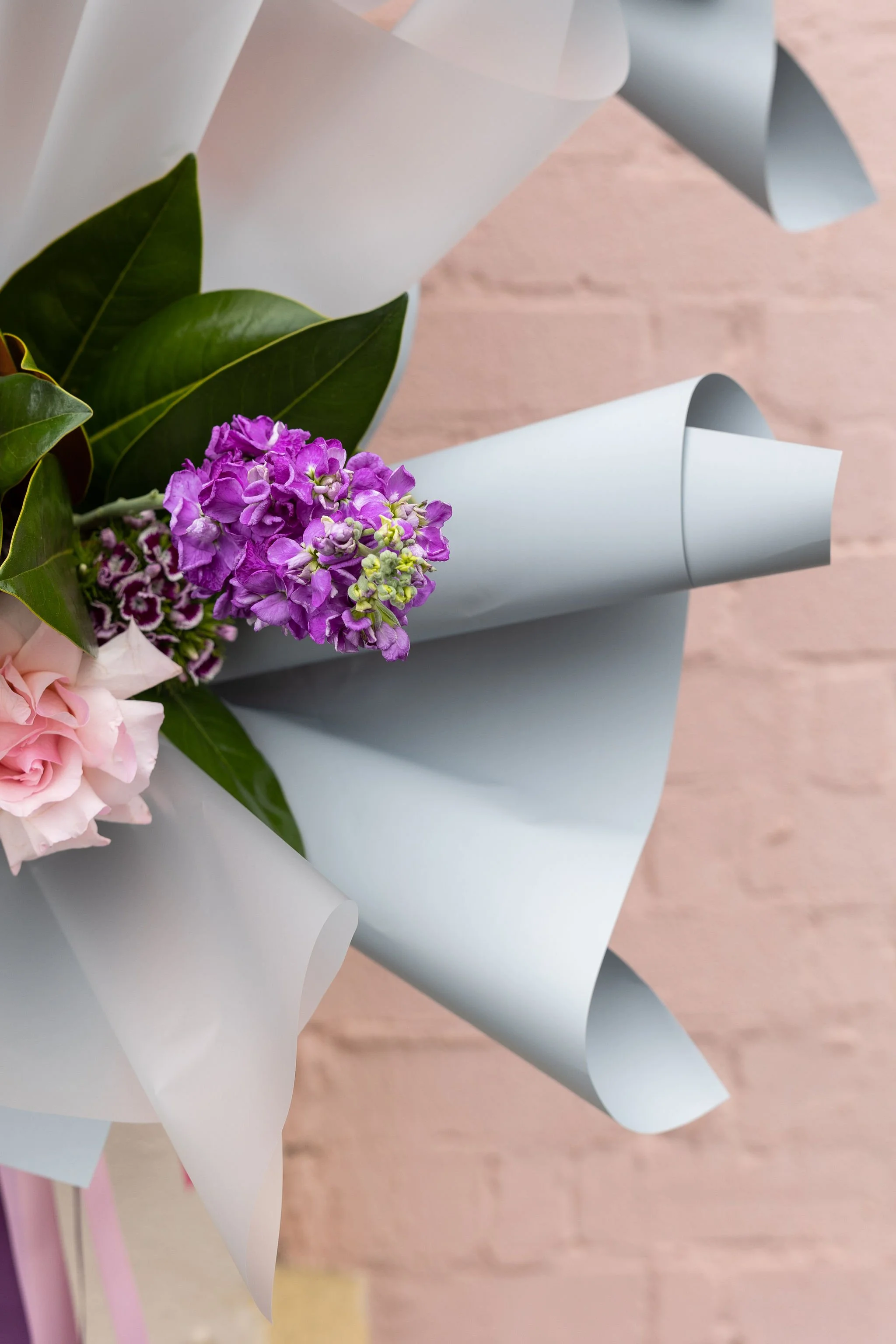 Hobart Flower Delivery Bold Flowers — Nola Hobart Flower Delivery