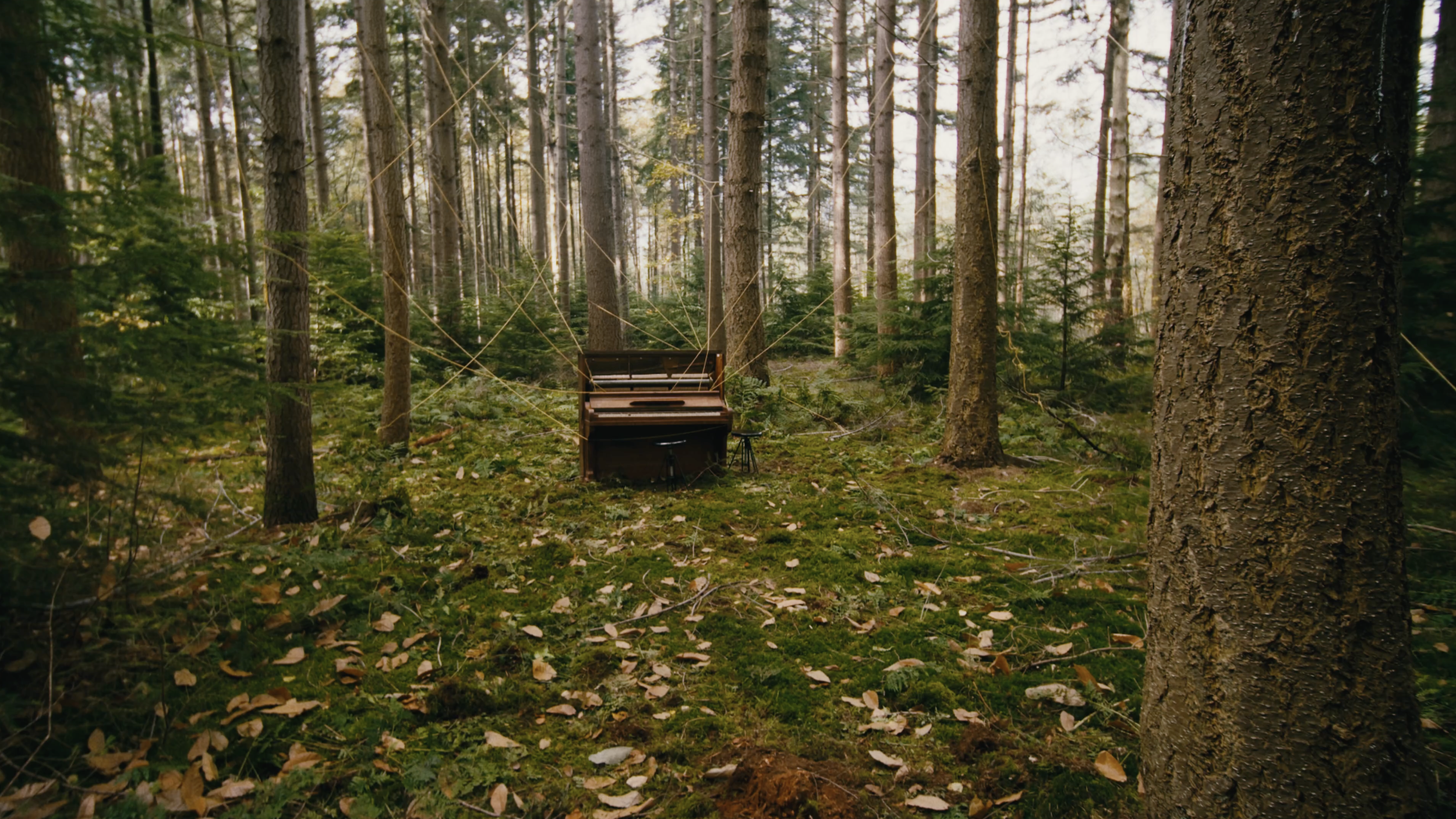 Piano still Vooruitgang - Bloeifilm.png