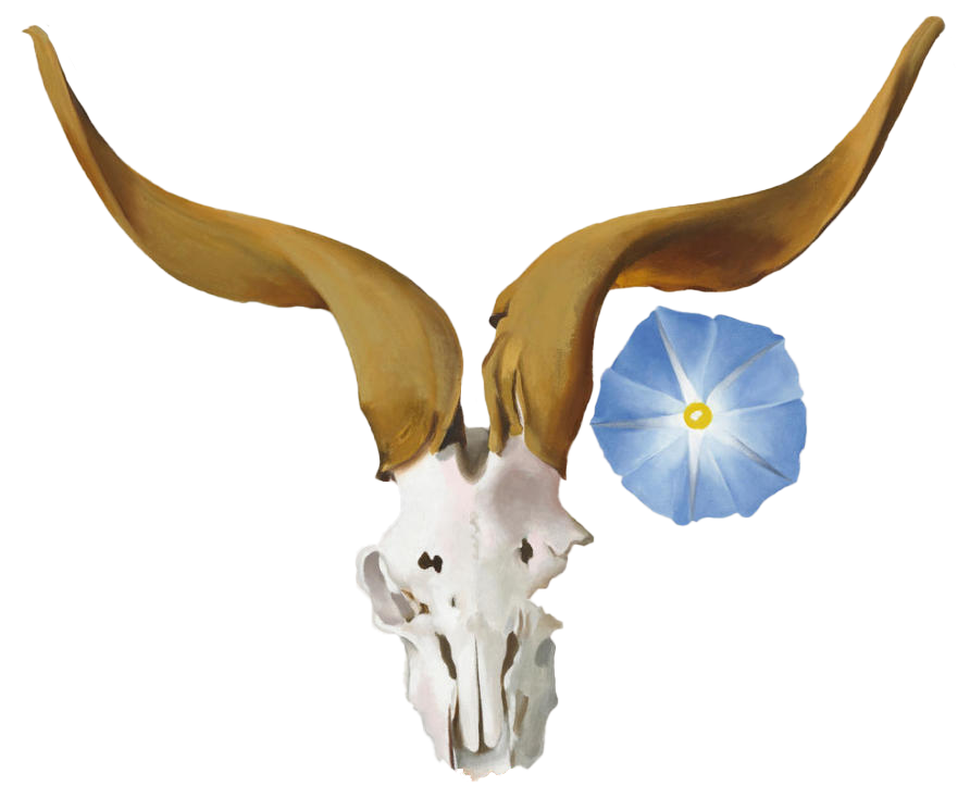 Rams Head, Blue Morning Glory.png