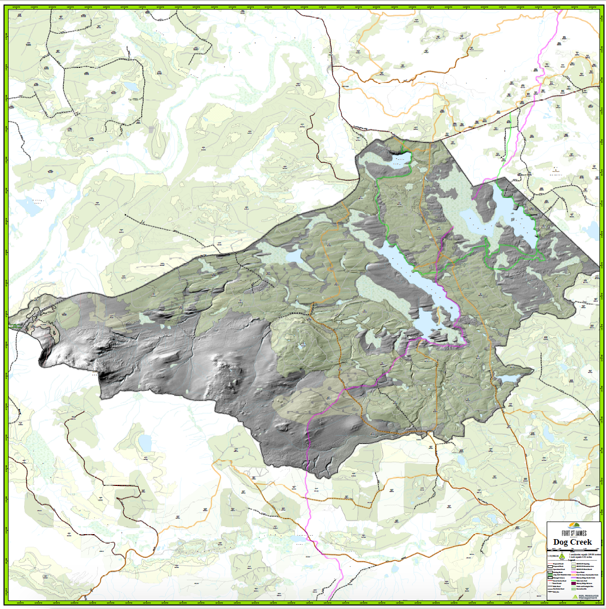 Dog Creek Community Forest LiDAR Map