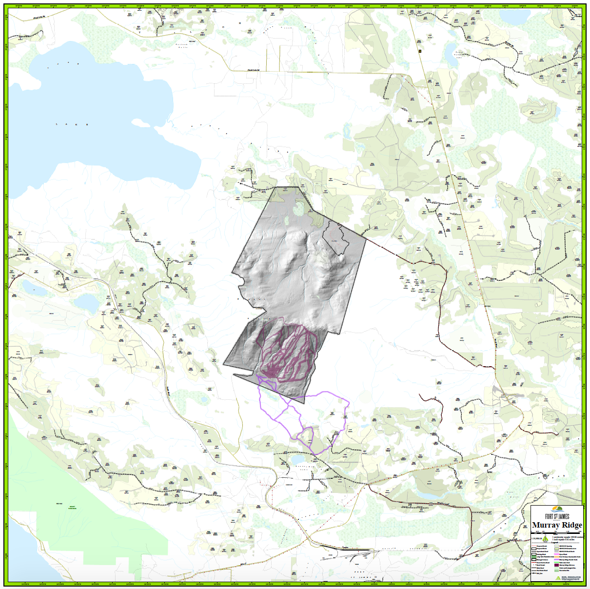 Murray Ridge Community Forest LiDAR Map