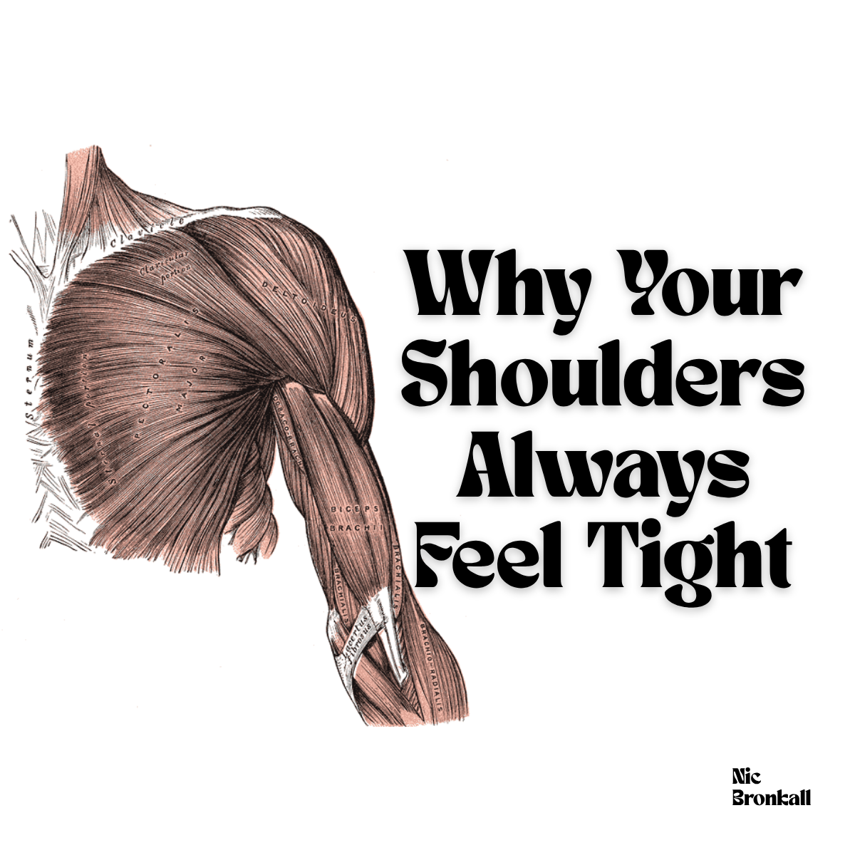 Why Your Shoulders Always Feel Tight 