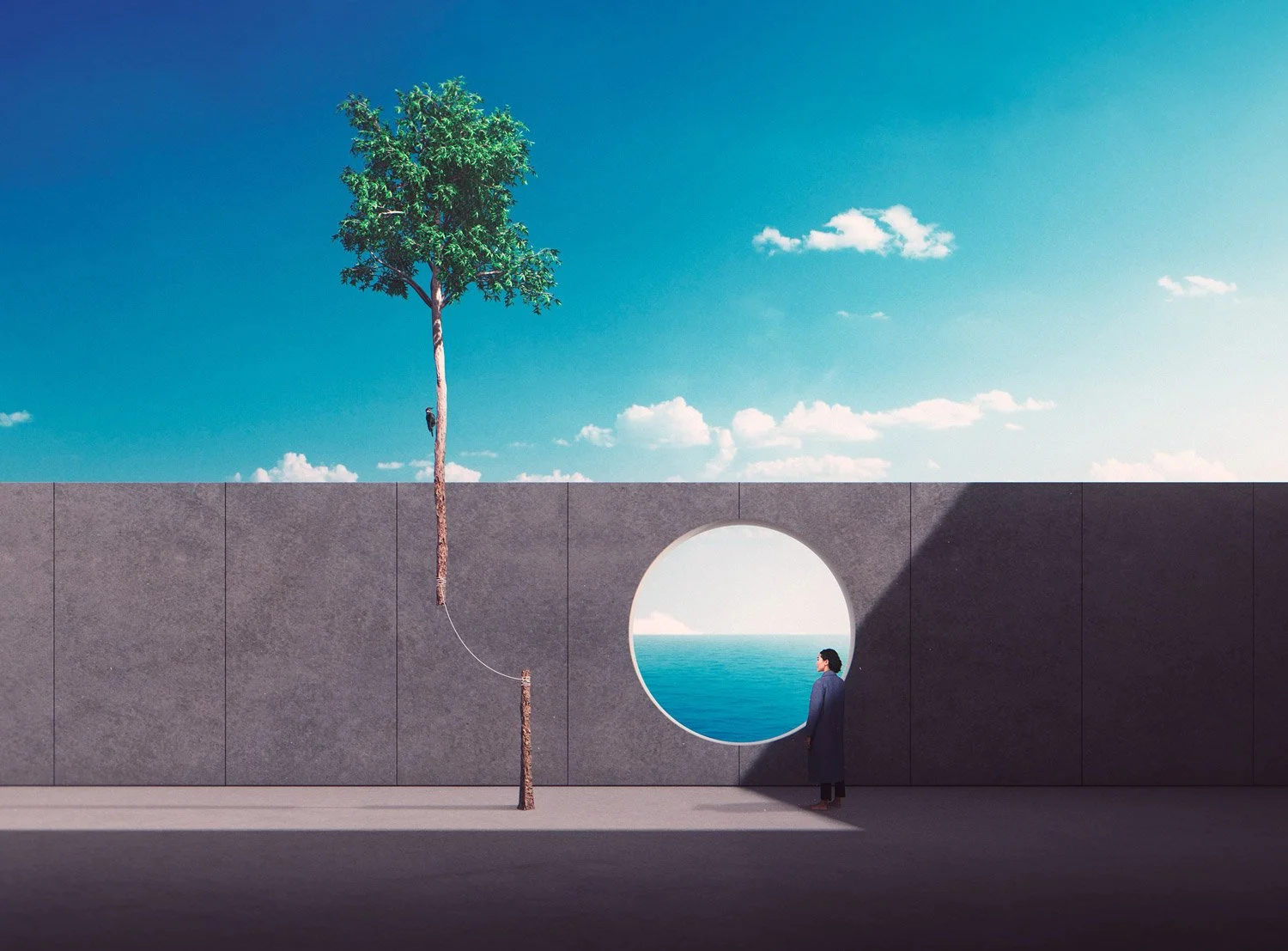 Art Afterlife Series