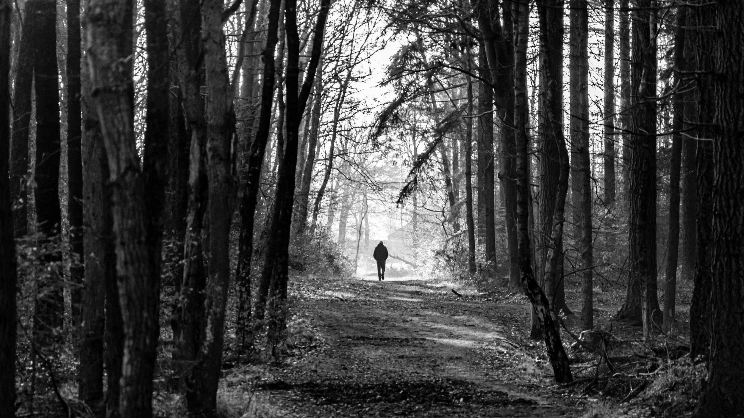 Black-and-white image of a man walking on a forest path for a blog about men’s mental health, masculinity, and somatic therapy.