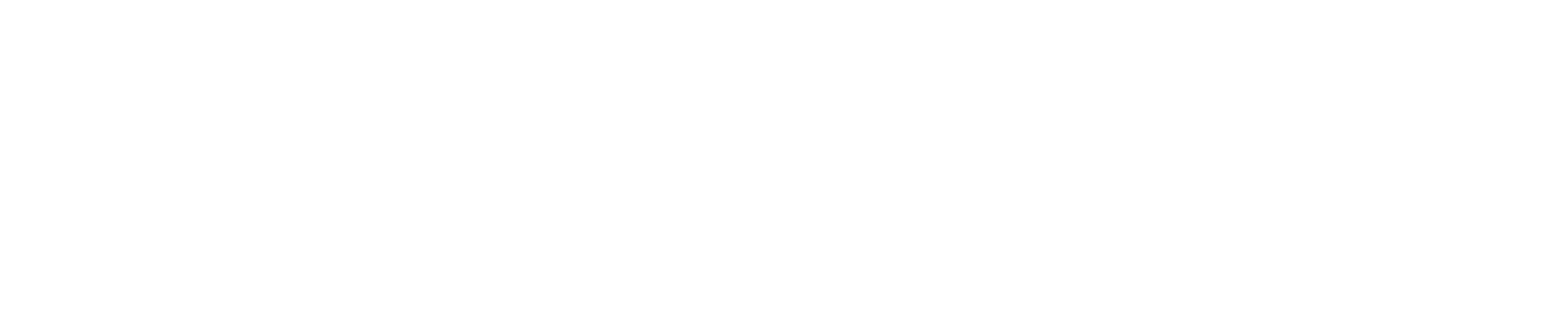 Logo d'Intellismart en gros caractères noirs