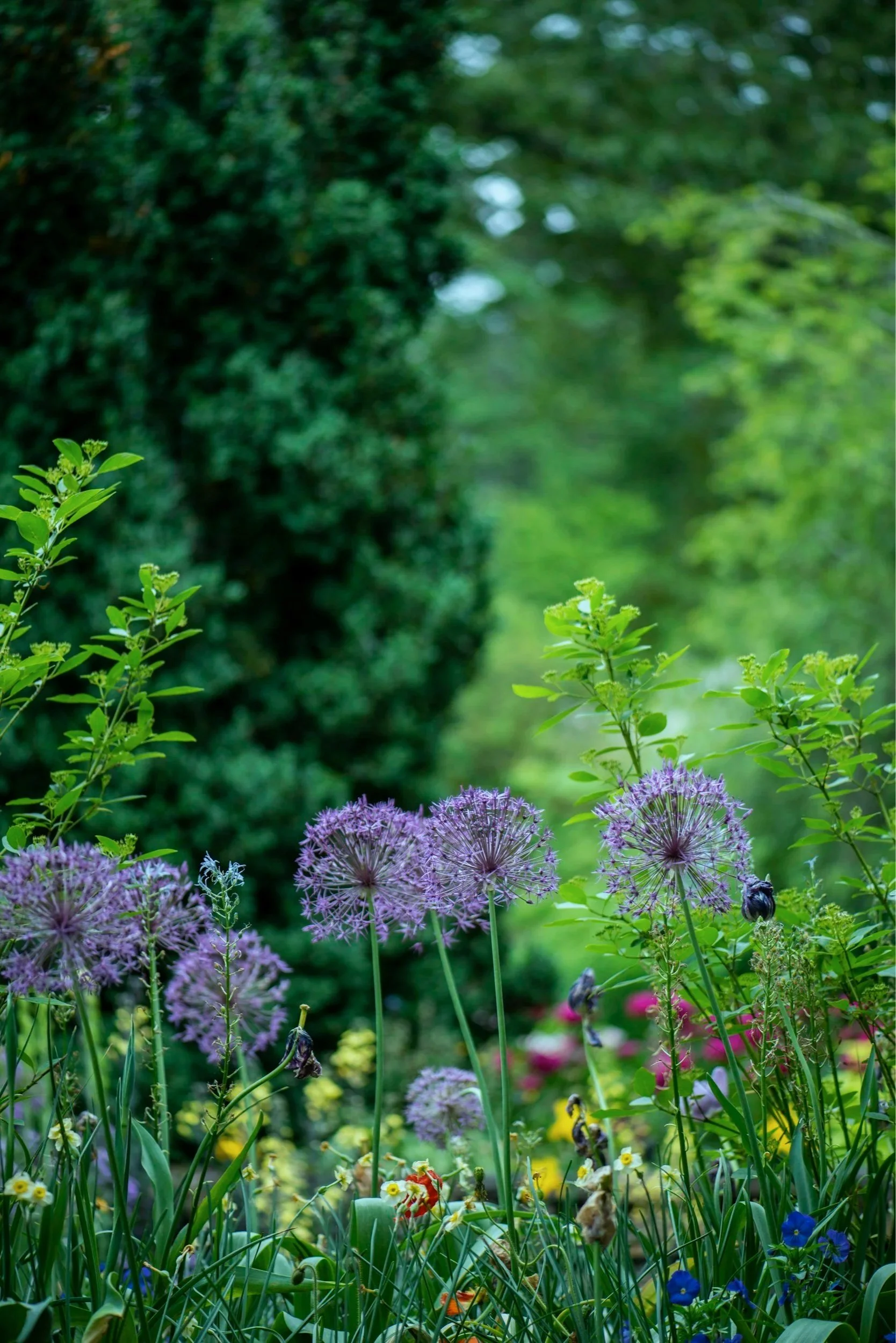 Vorträge zu Klimaanpassung für Garten und Gesundheit