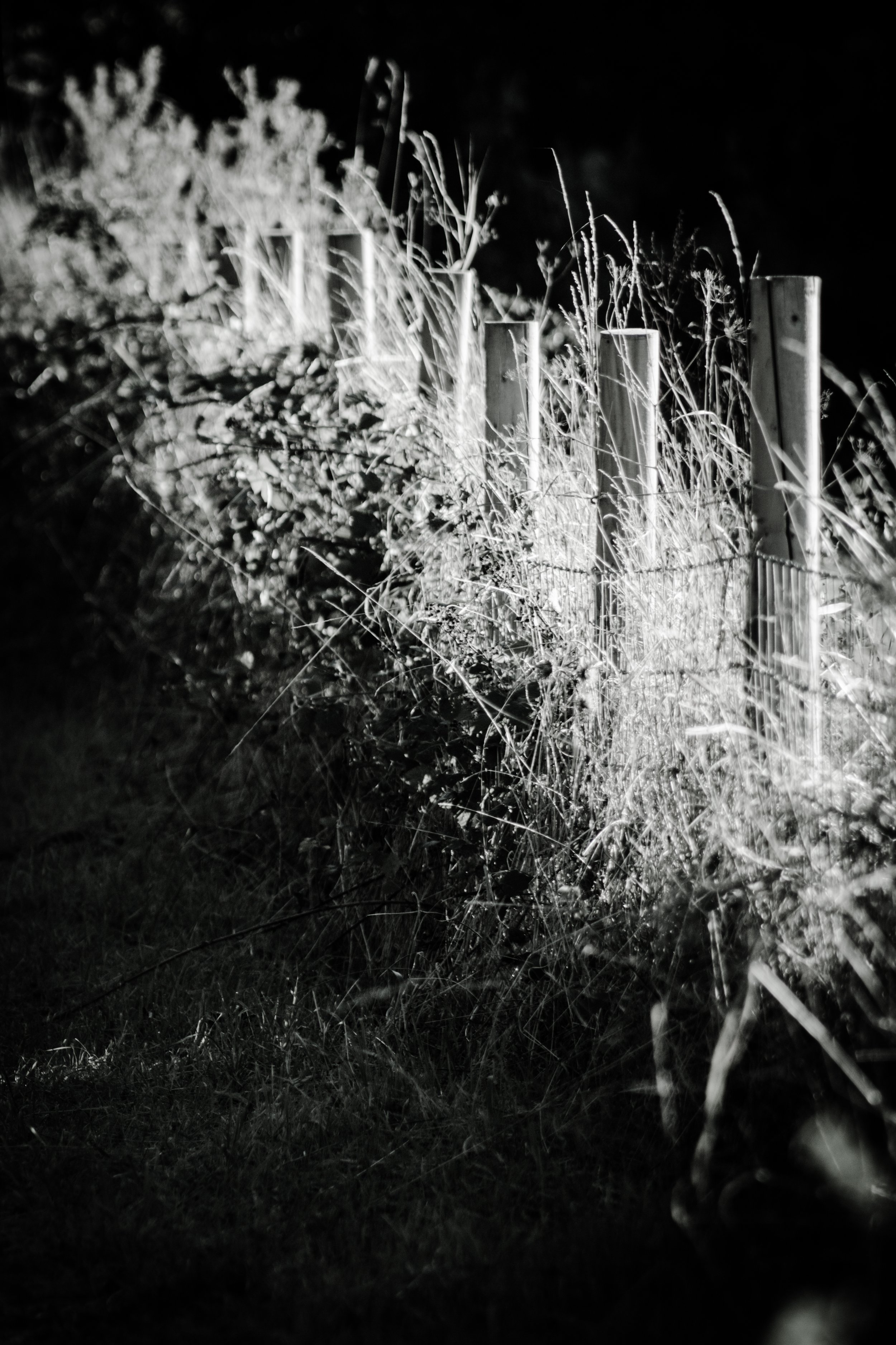 UftonFieldsFenceBW.jpg