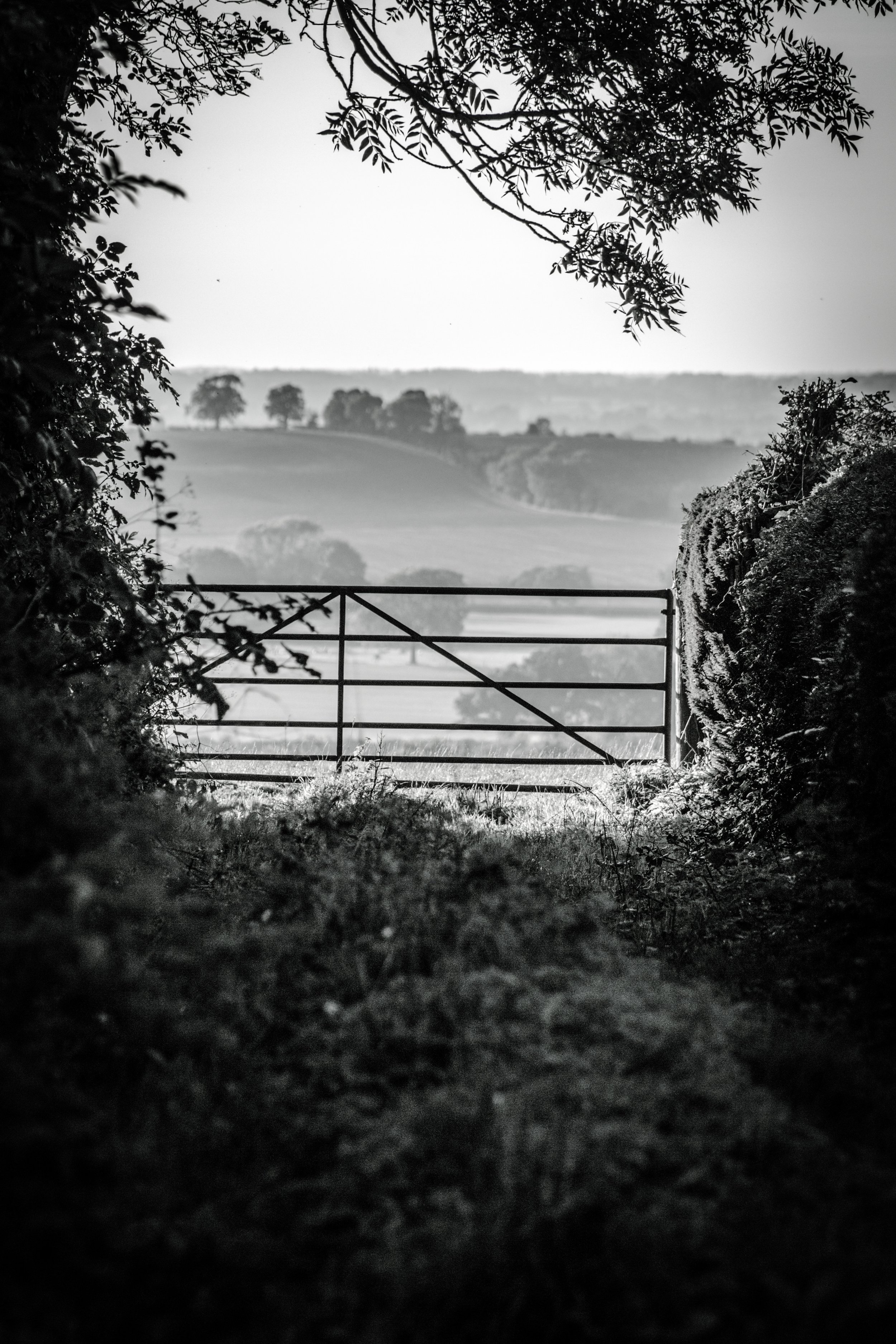 UftonFieldsGateBW.jpg