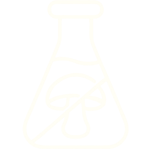 Line drawing of a laboratory flask containing a lemon and ice cubes.