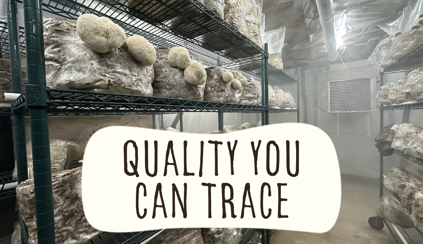 Shelves filled with mushroom grow bags in a mushroom cultivation room with the text overlay 'Quality You Can Trace'.