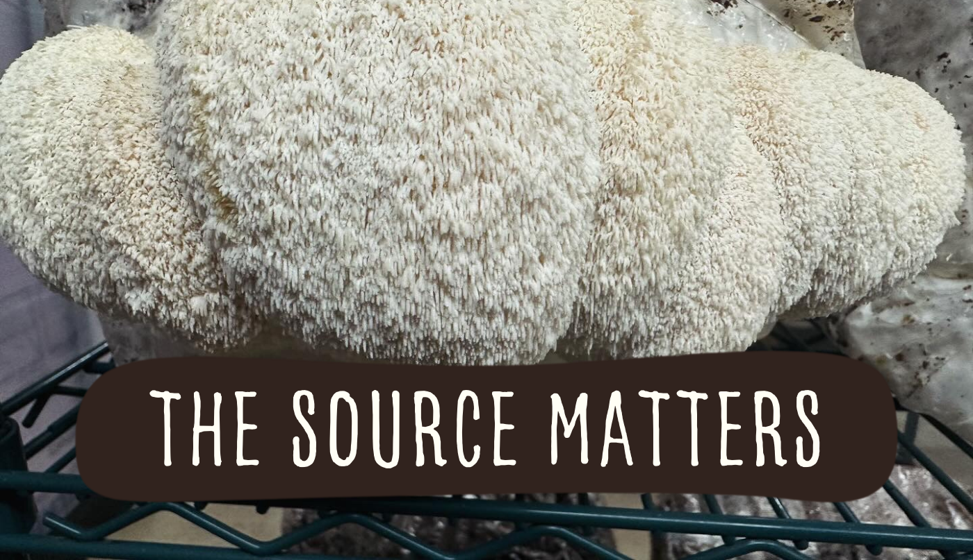 Close-up of Lions Mane Mushroom with text 'The Source Matters' overlaid.