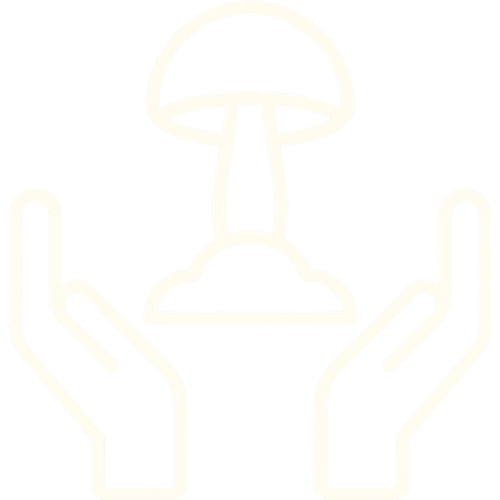 Icon of two hands holding a mushroom.
