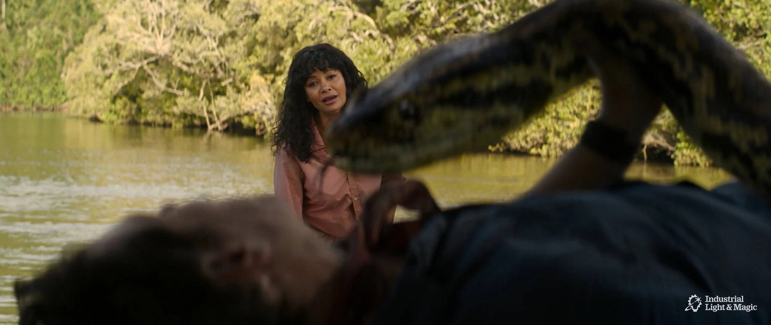RHMNVFX_ILM_Anaconda_Screengrab_05.jpg