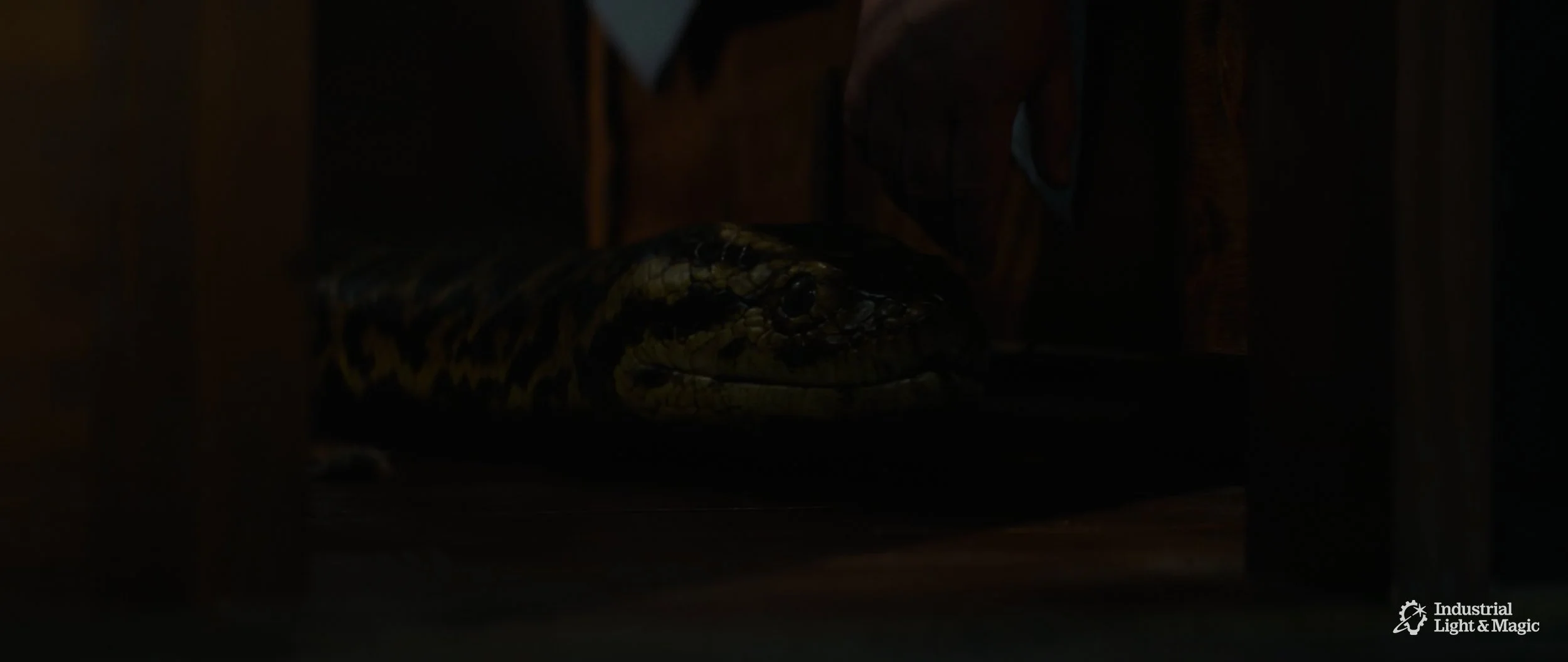 RHMNVFX_ILM_Anaconda_Screengrab_10.jpg
