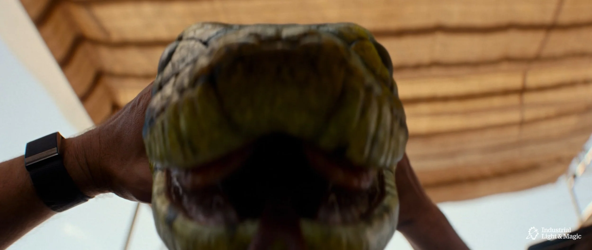 RHMNVFX_ILM_Anaconda_Screengrab_07.jpg