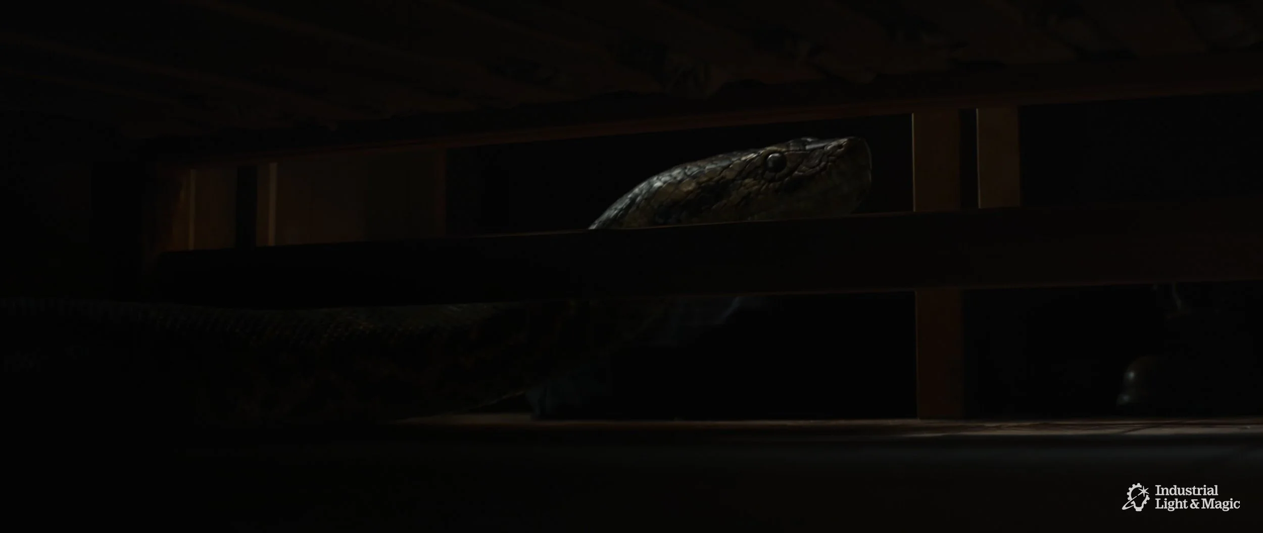 RHMNVFX_ILM_Anaconda_Screengrab_12.jpg