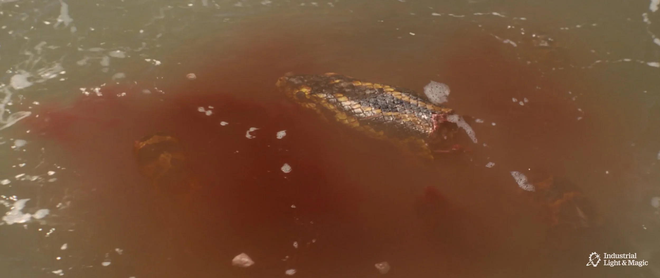 RHMNVFX_ILM_Anaconda_Screengrab_08.jpg