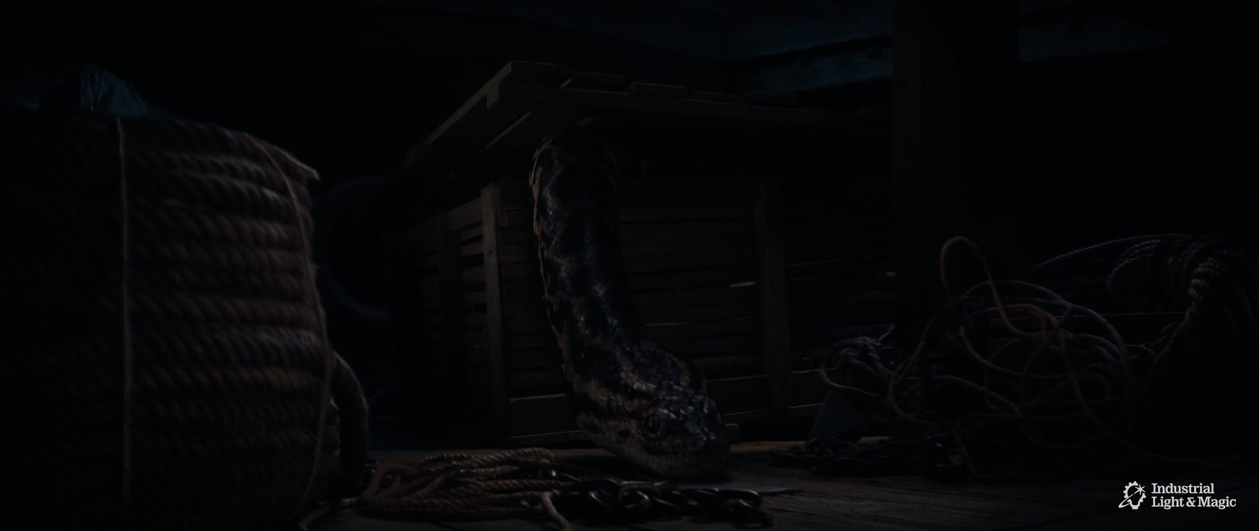 RHMNVFX_ILM_Anaconda_Screengrab_09.jpg