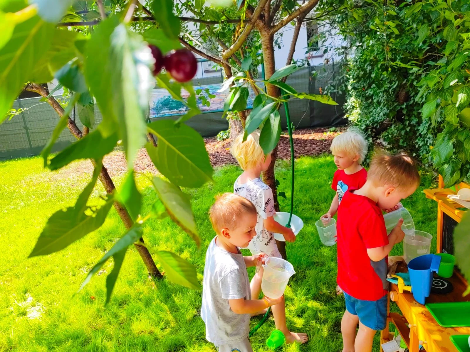 dfa92192-9b9c-408d-adfe-d0a0458905ee 2.JPG