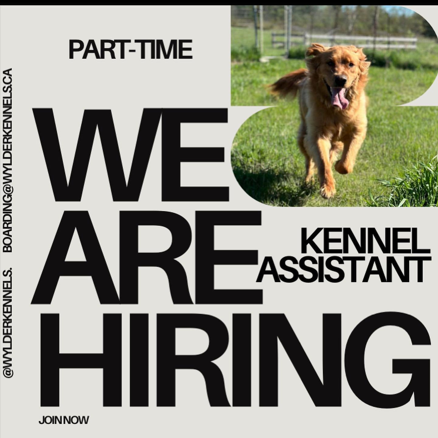Exciting announcements! 🐾 ✨ 

We are hiring! Summer is just around the corner and we are looking for new team members. If you love dogs and being active outdoors, please send a resume and cover letter to us at boarding@wylderkennels.ca. We look forw