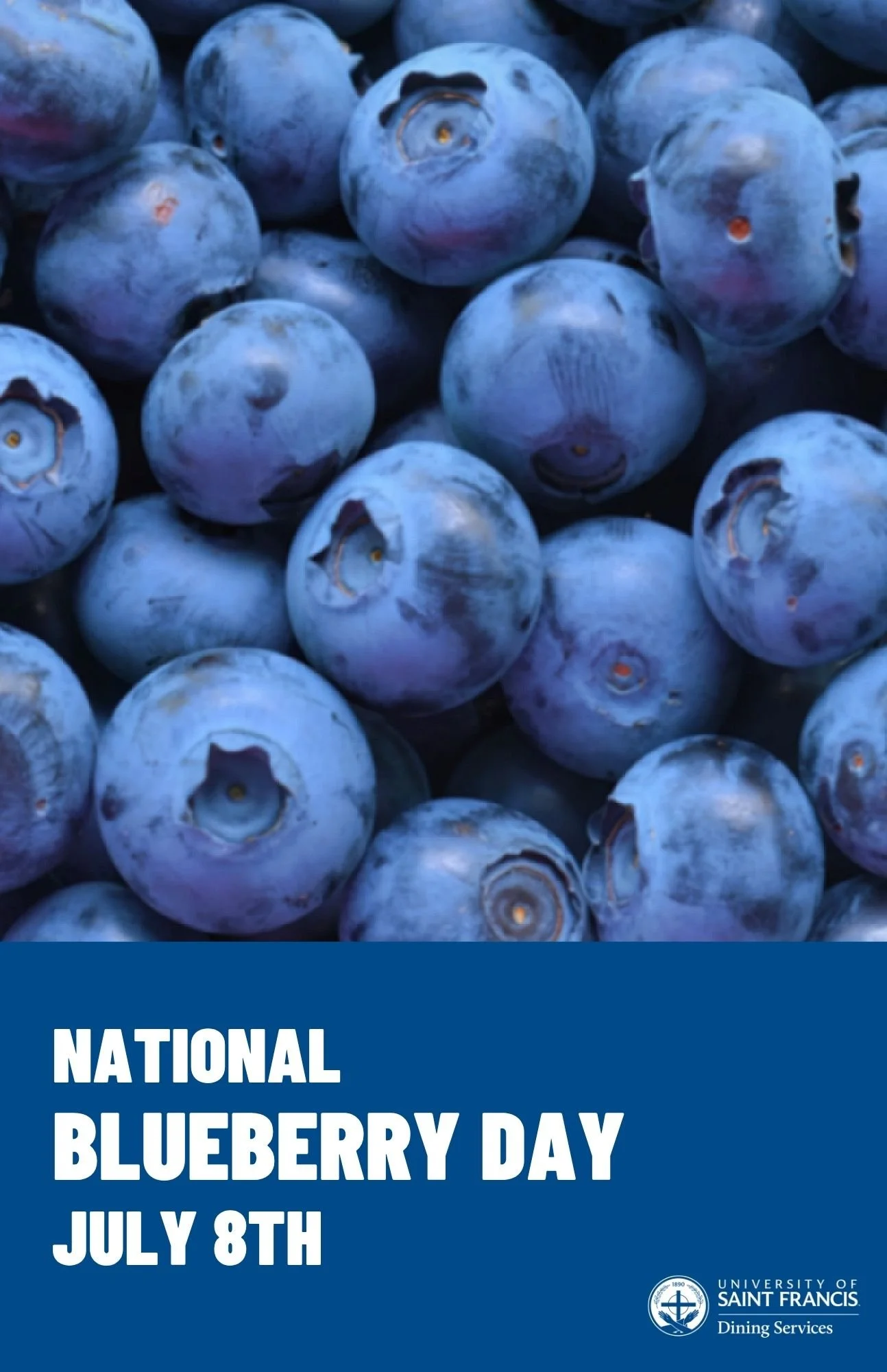 Copy of Poster.jpg