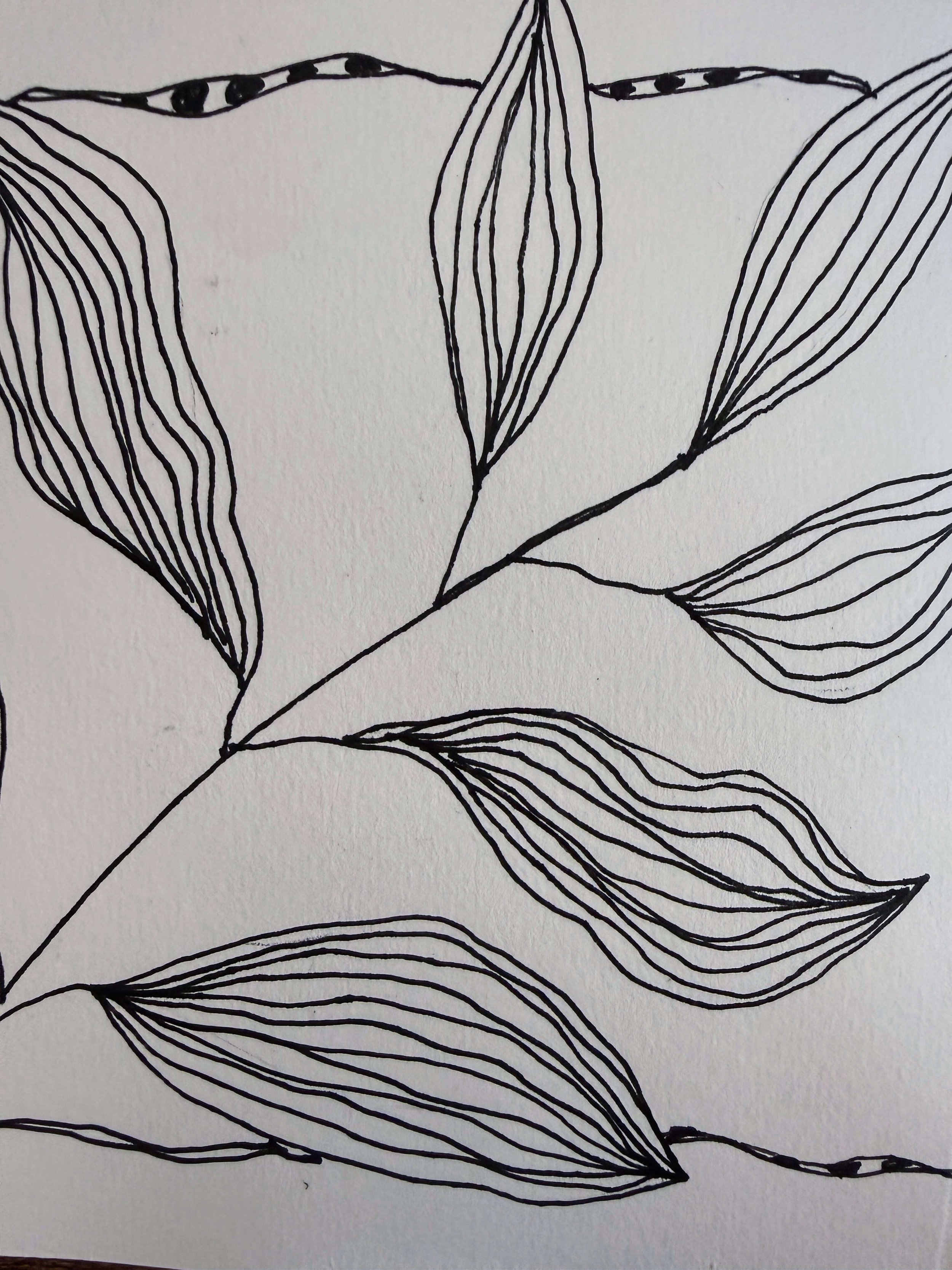 Slow Drawing &amp; Mindful Mark Making Class