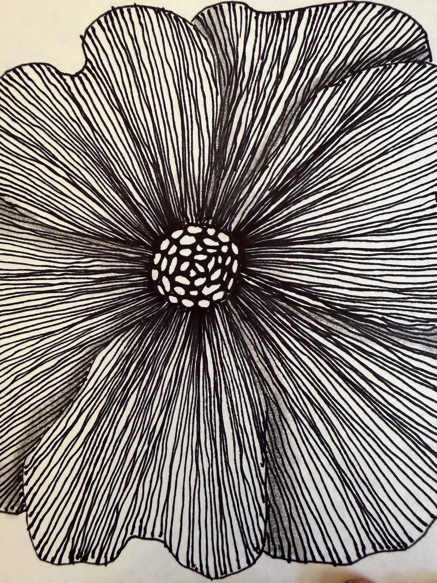 Slow Drawing &amp; Mindful Mark Making Class 