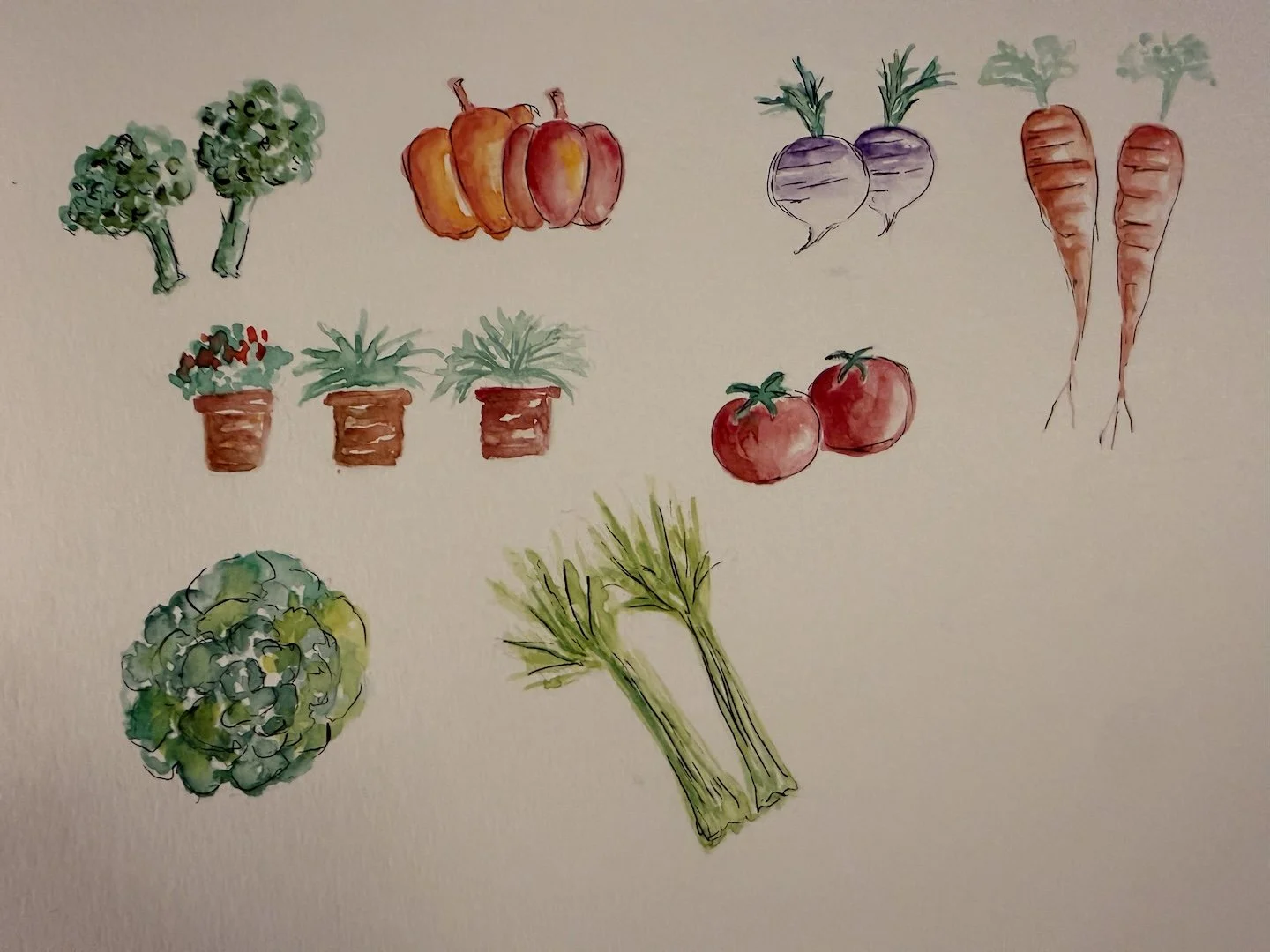 Slow Drawing Class and Watercolor Workshop