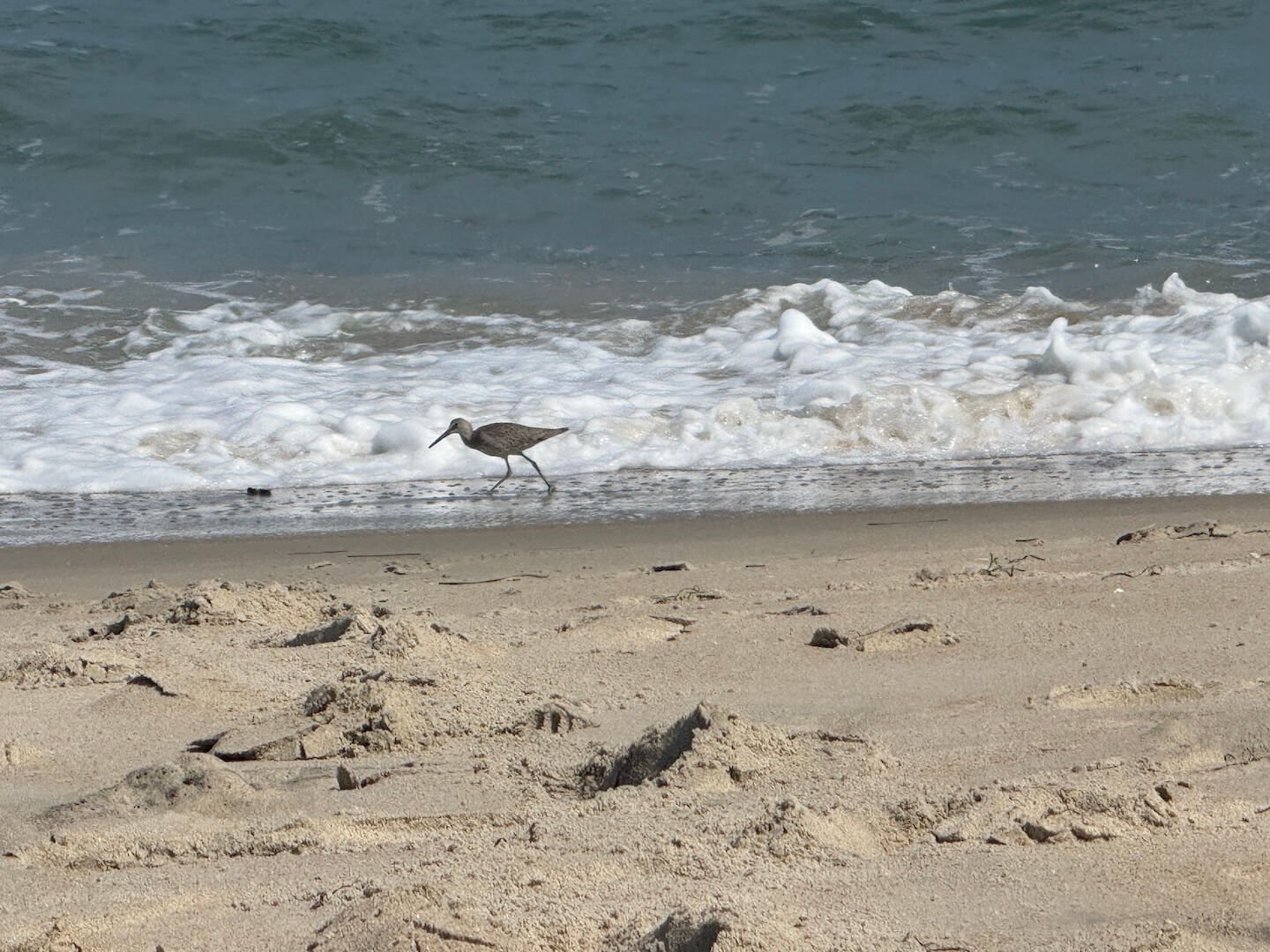 OBX2026-29.JPG