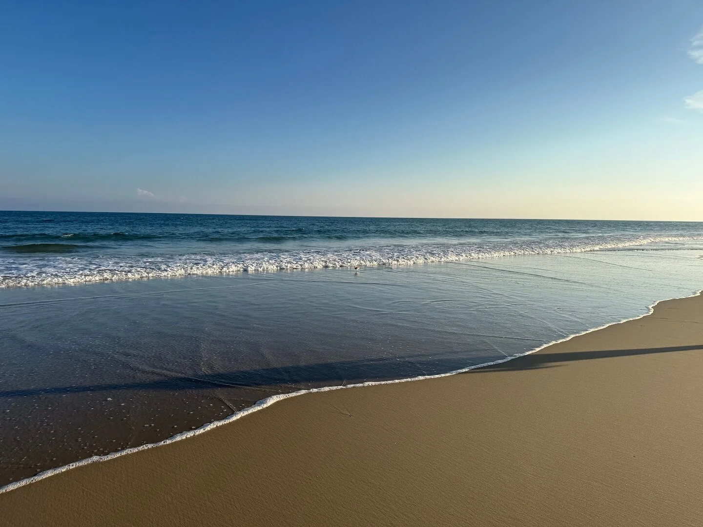 OBX2026-52.JPG